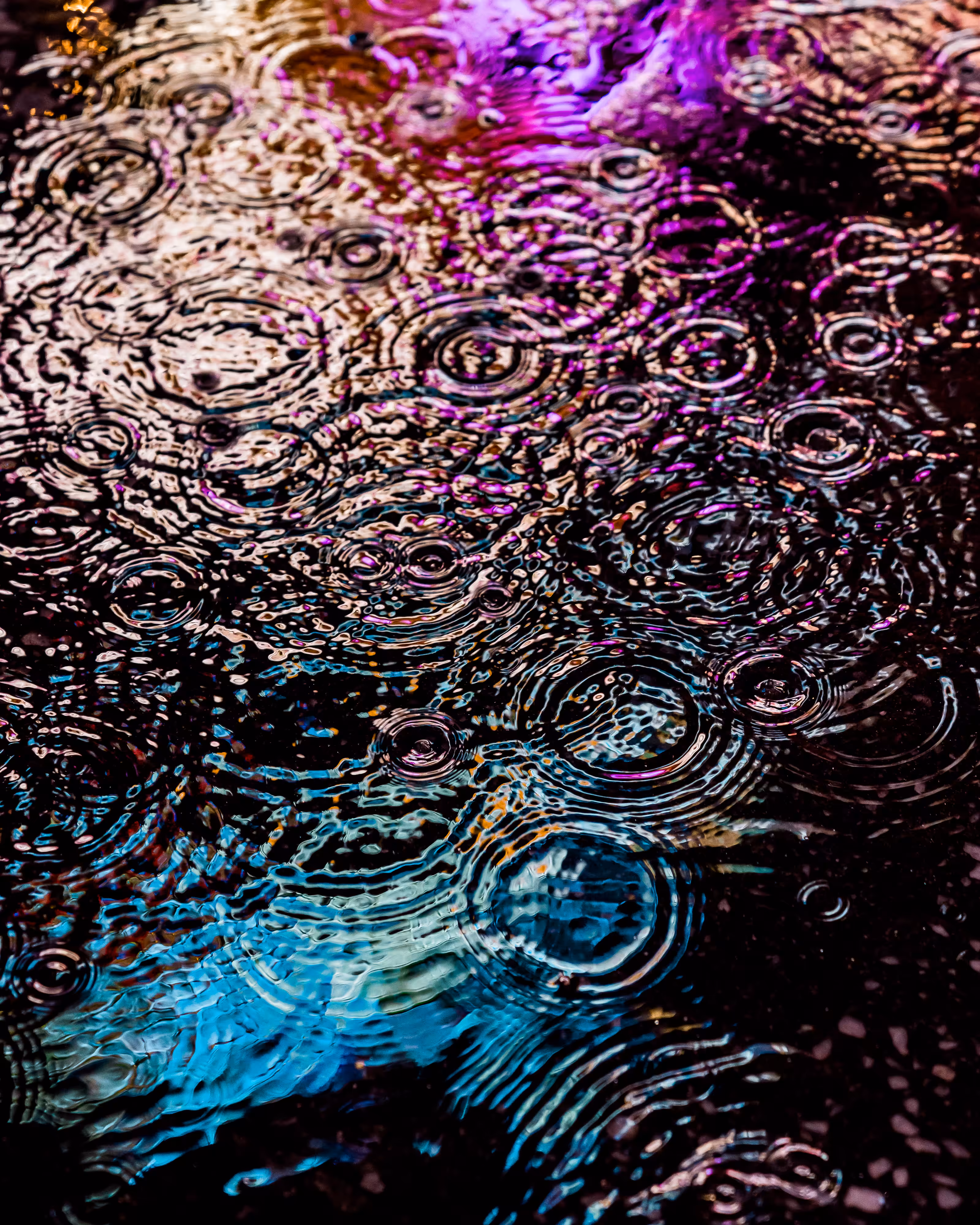 DRIP DROP: DRIP #127