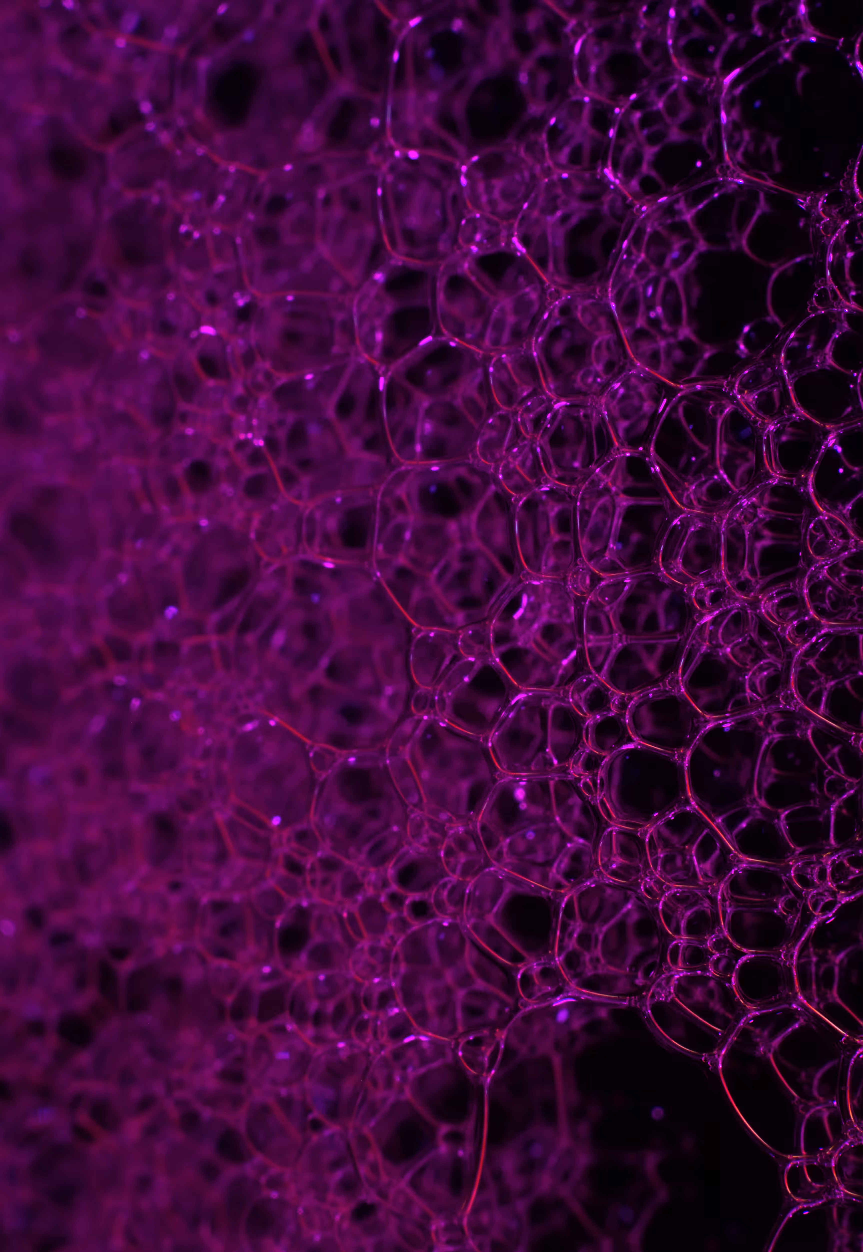 #59 Bubbles