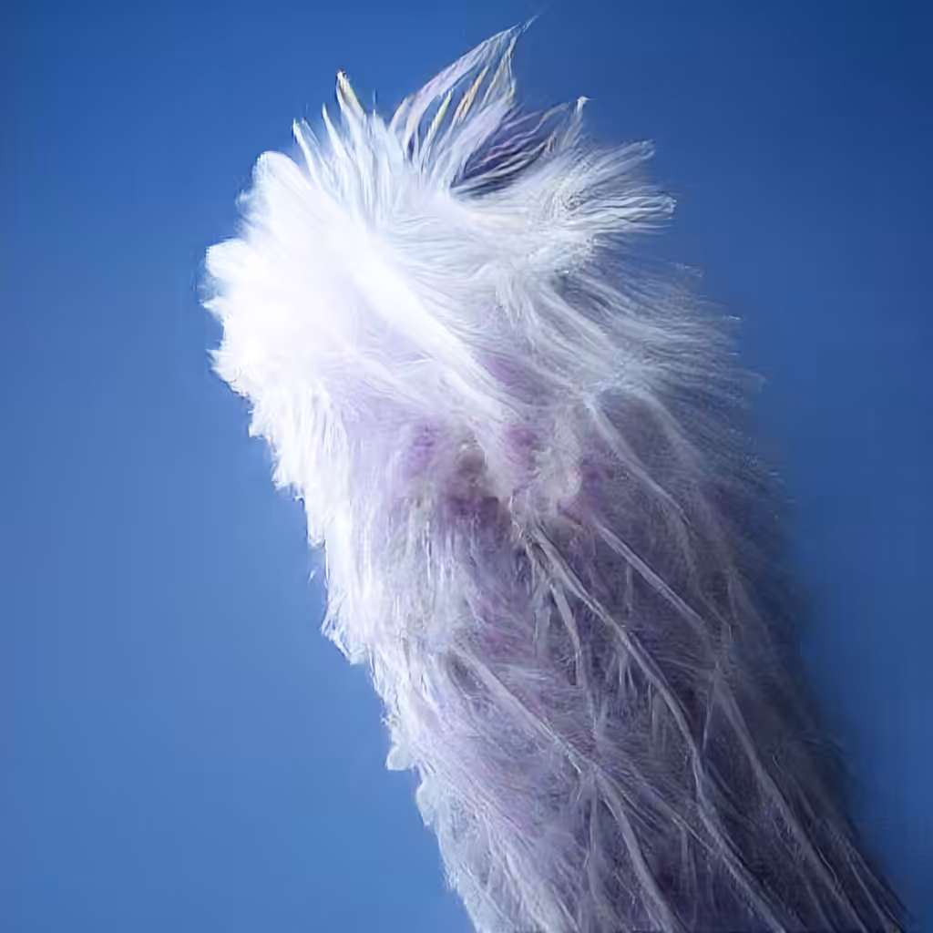 The Non-Human Artwork Project #220