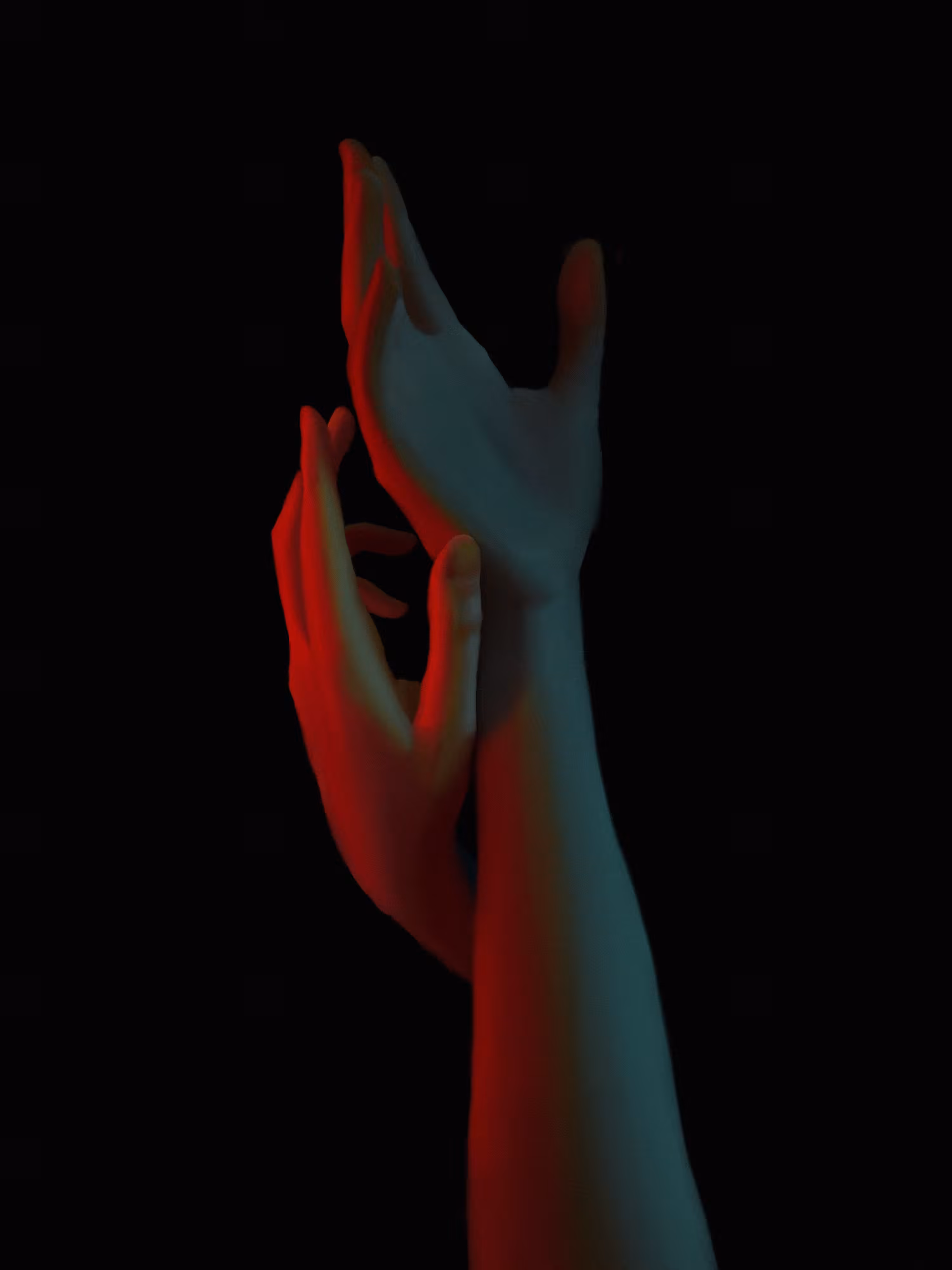 hand study #4