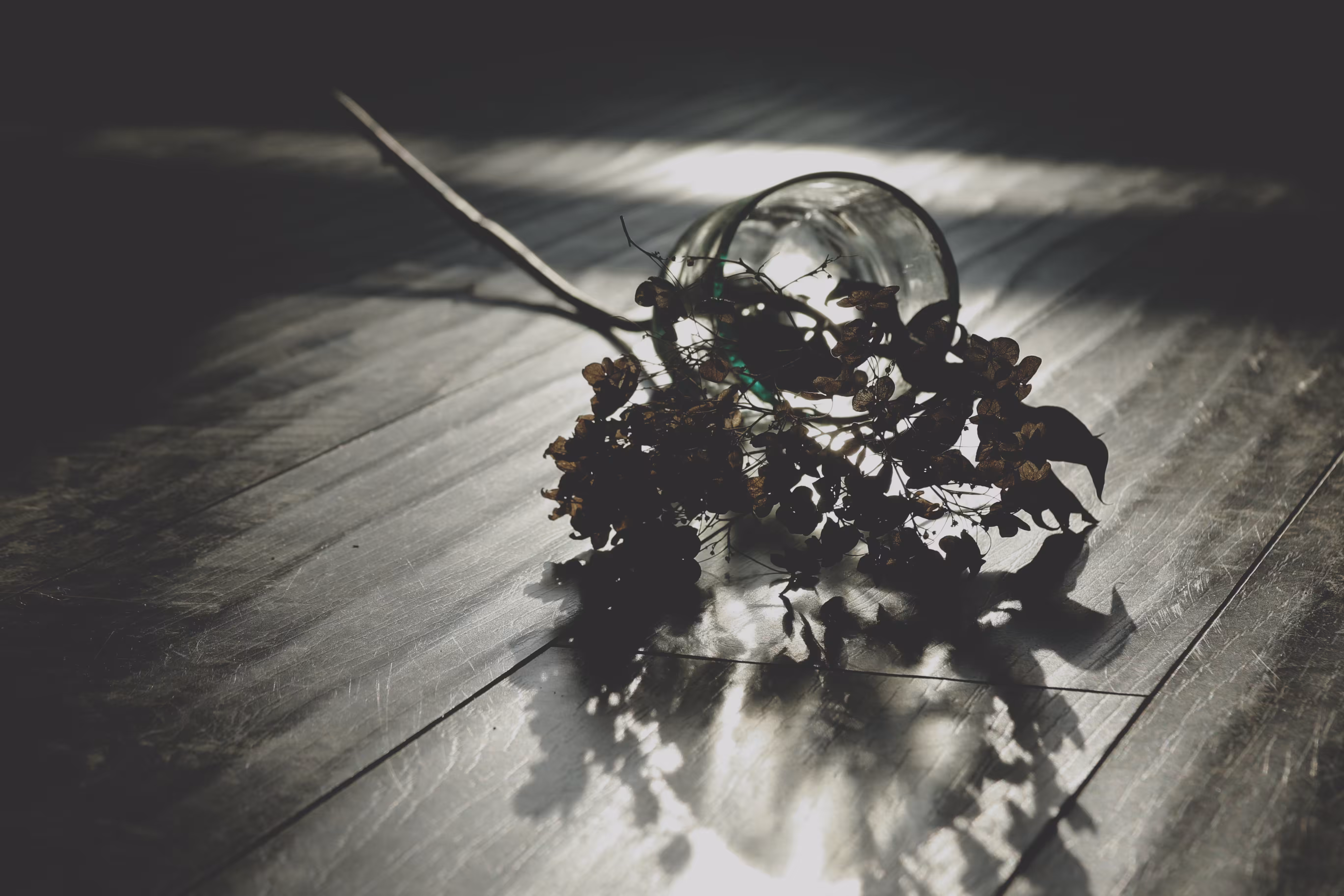 _reflected