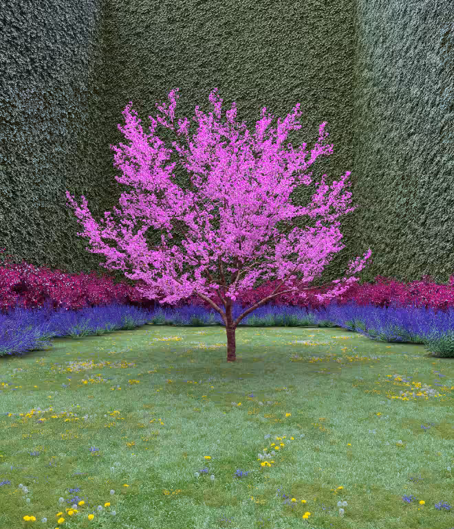 Garden of Imagination #55