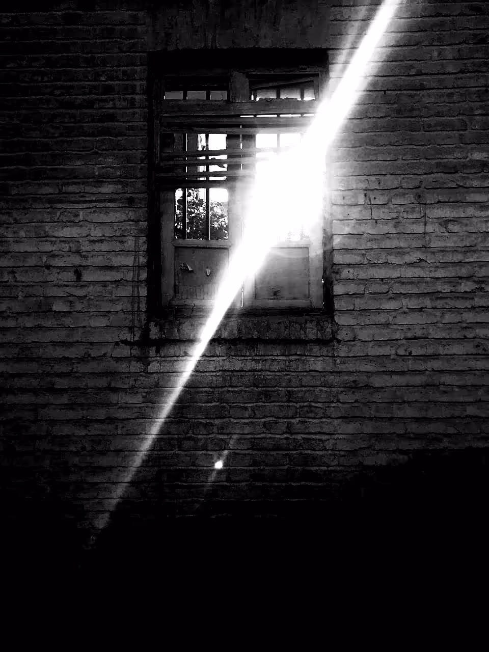 Abandoned window