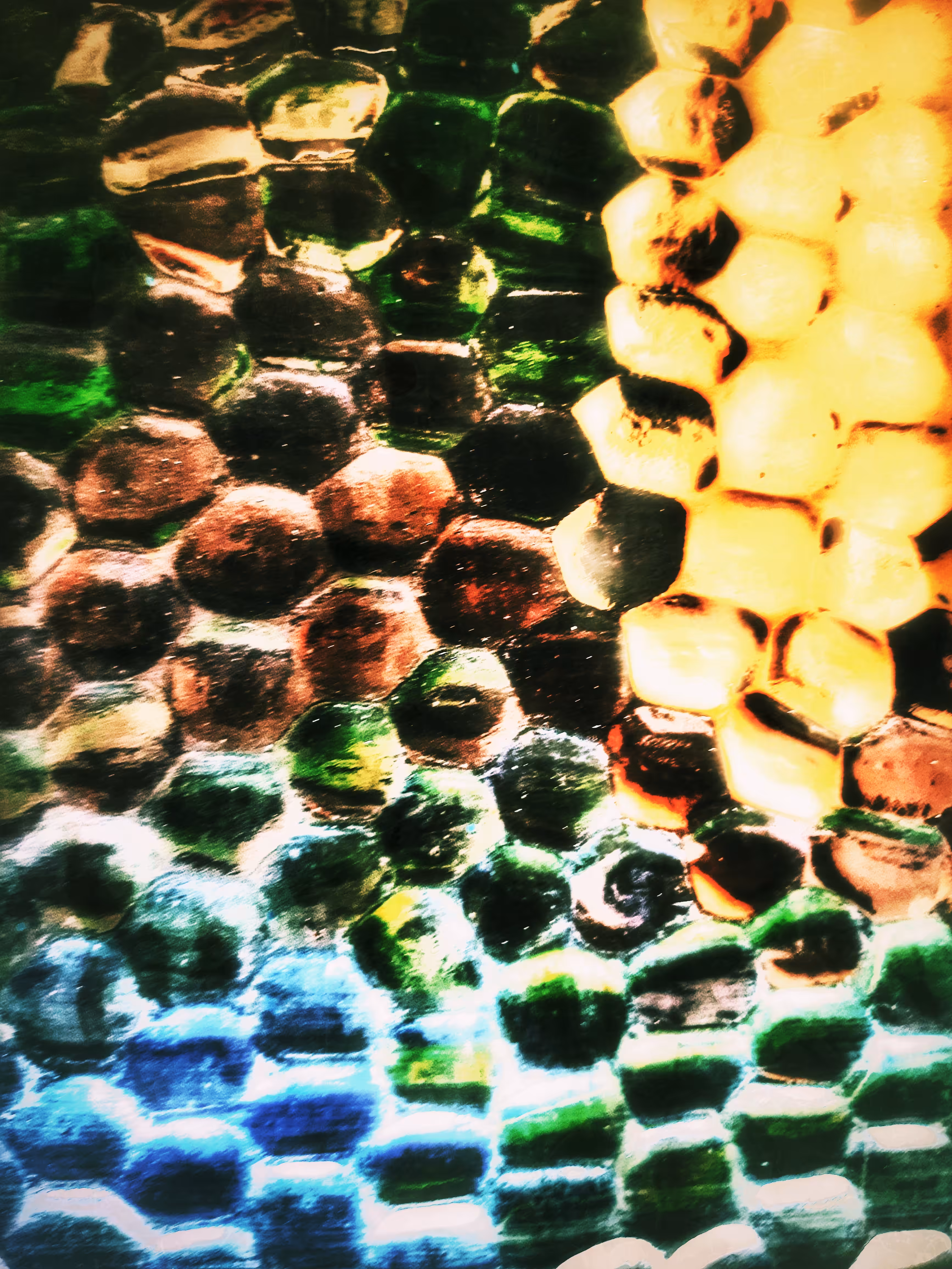 Bright Hive