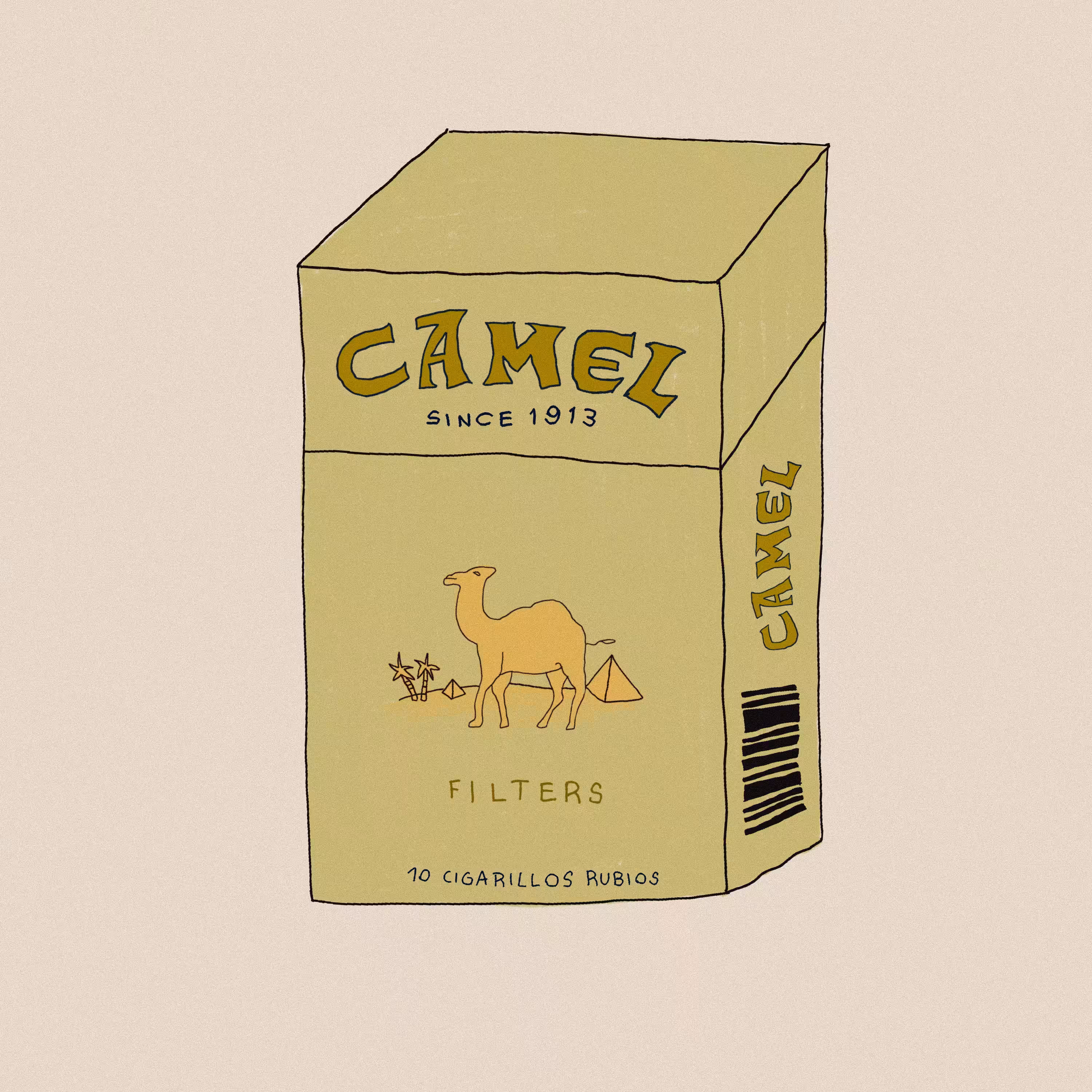 camel atado 01