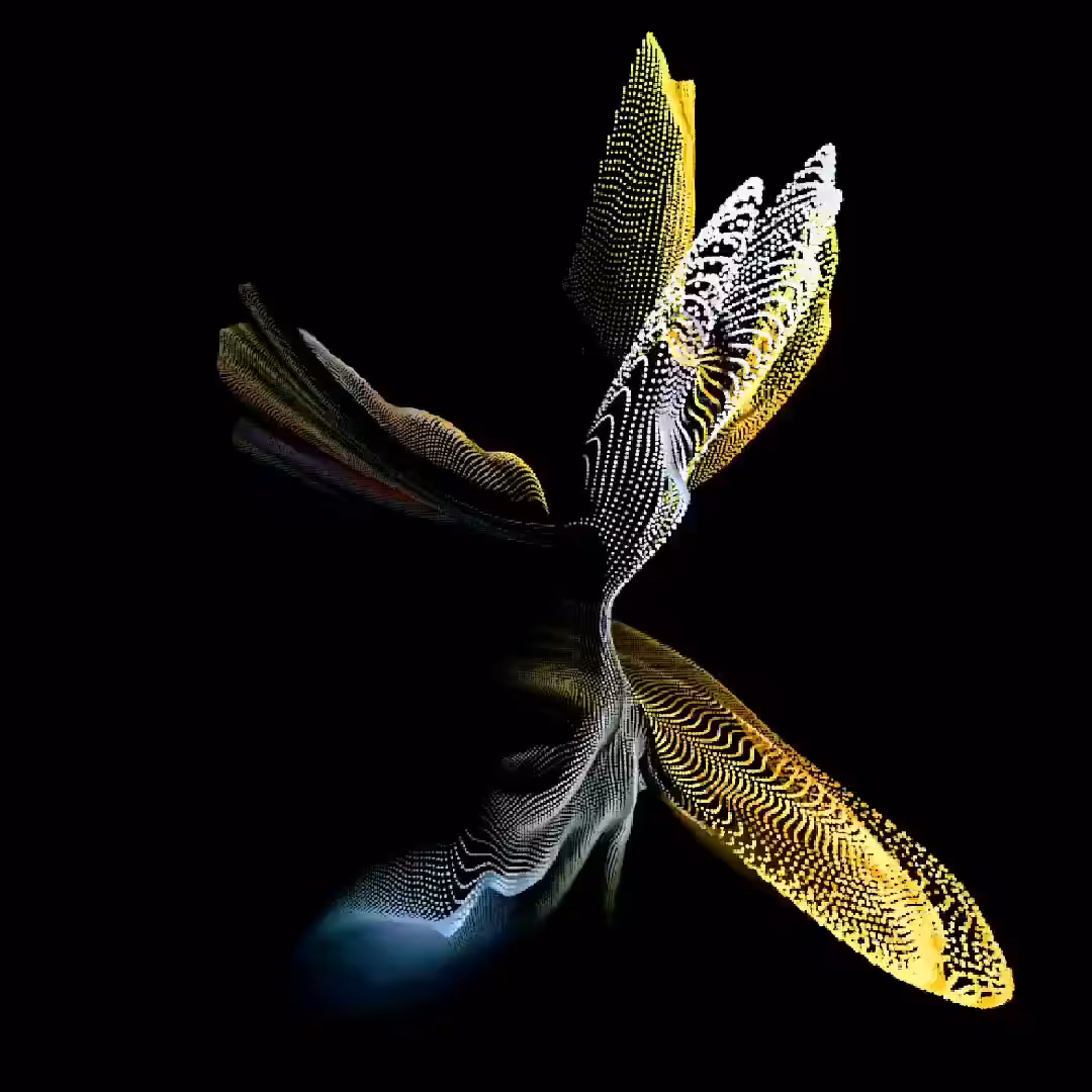 Fluidity
