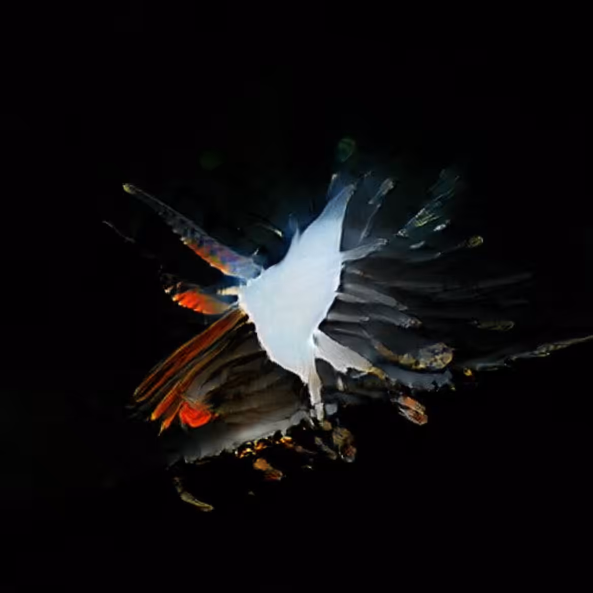Flight