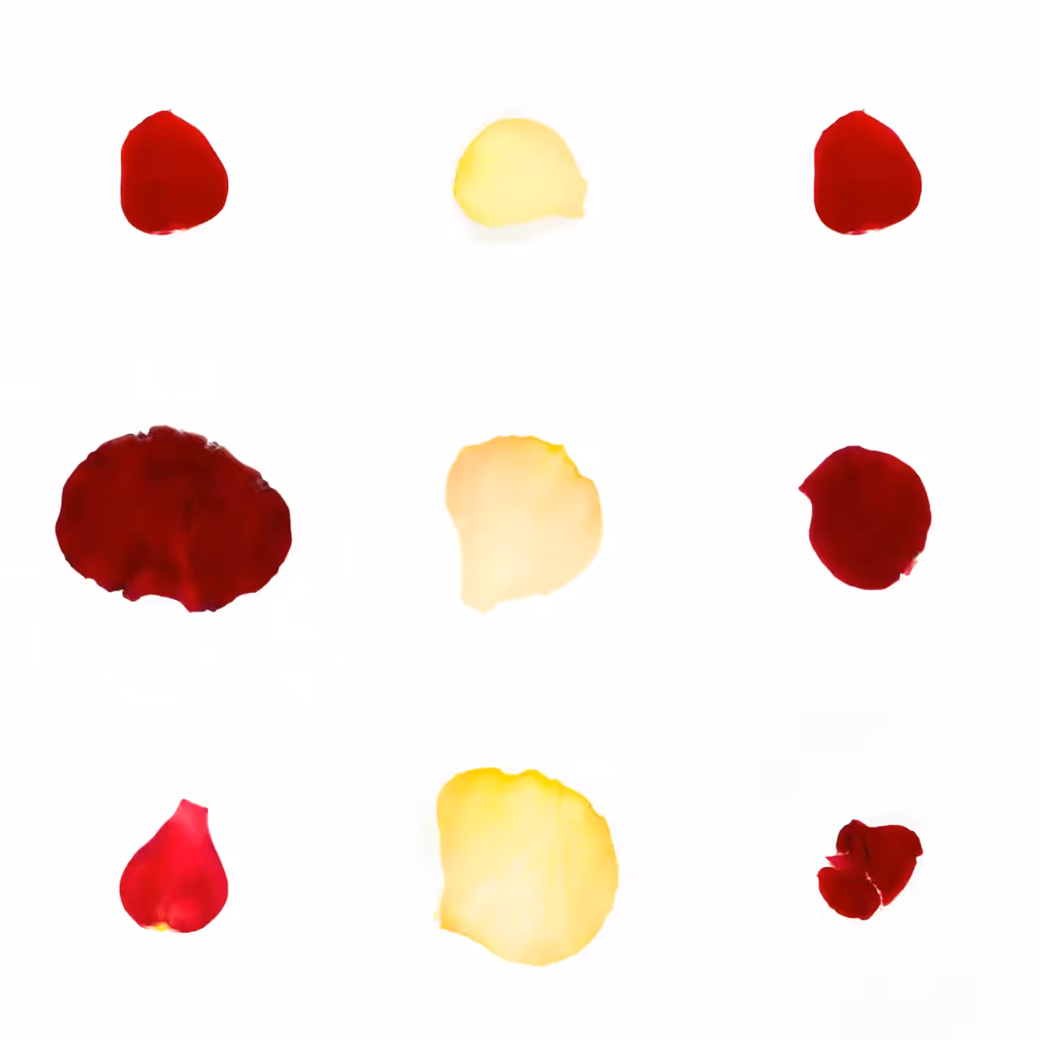 Infinite Petals 3x3#20070