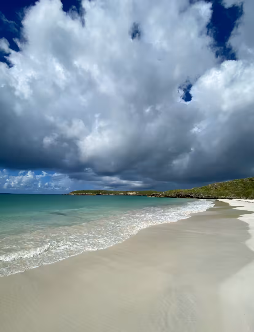 Paradise