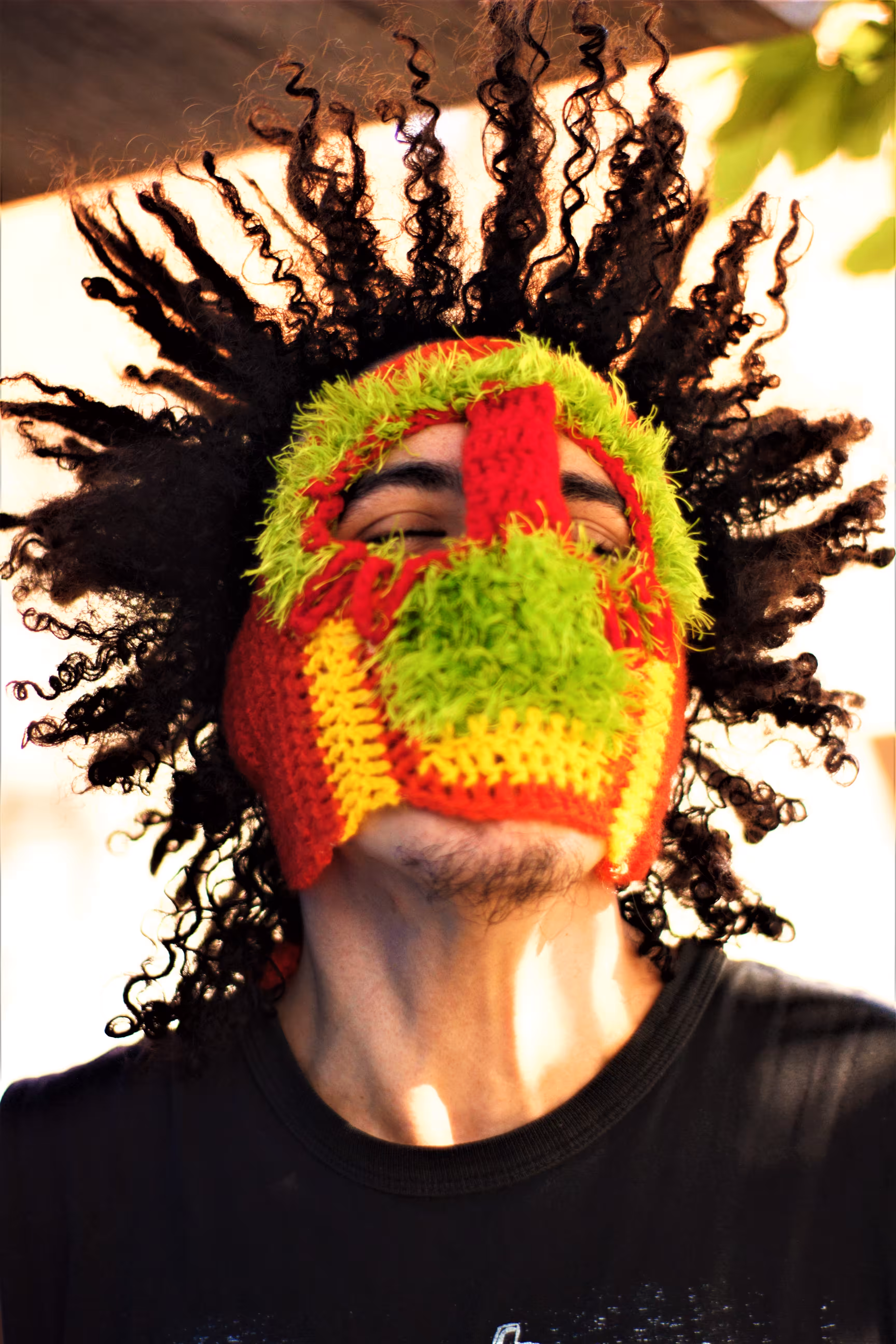 Crop Mask