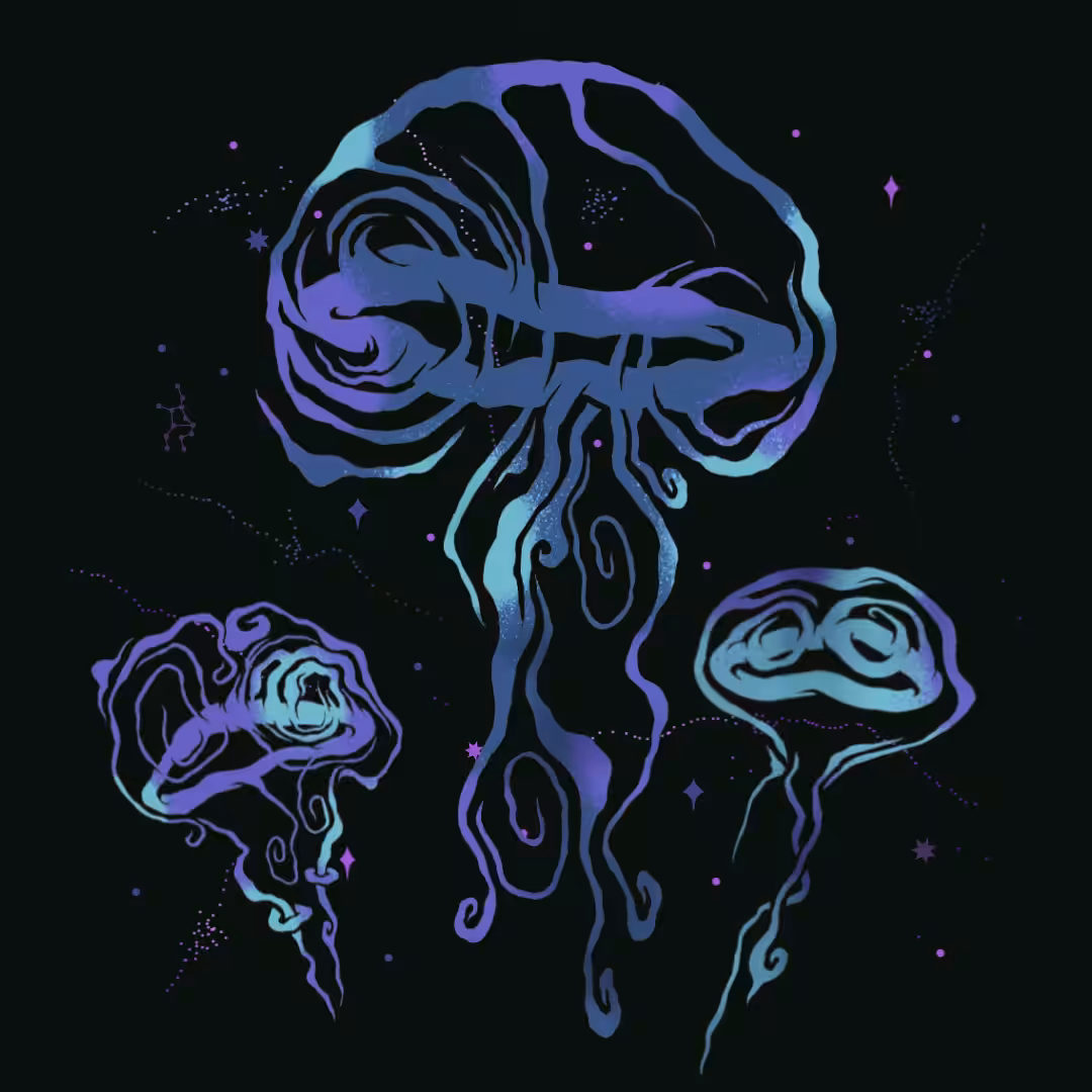 PRMLSPRT - Jellyfish