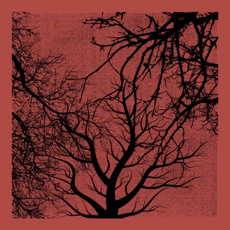 Forest of Shadows HD #6