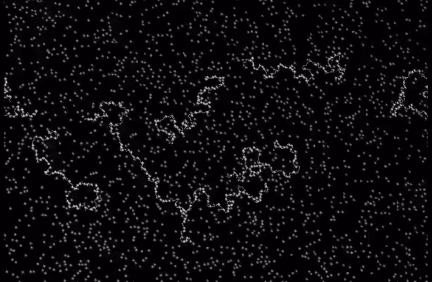 Disordered polymers in a solvent