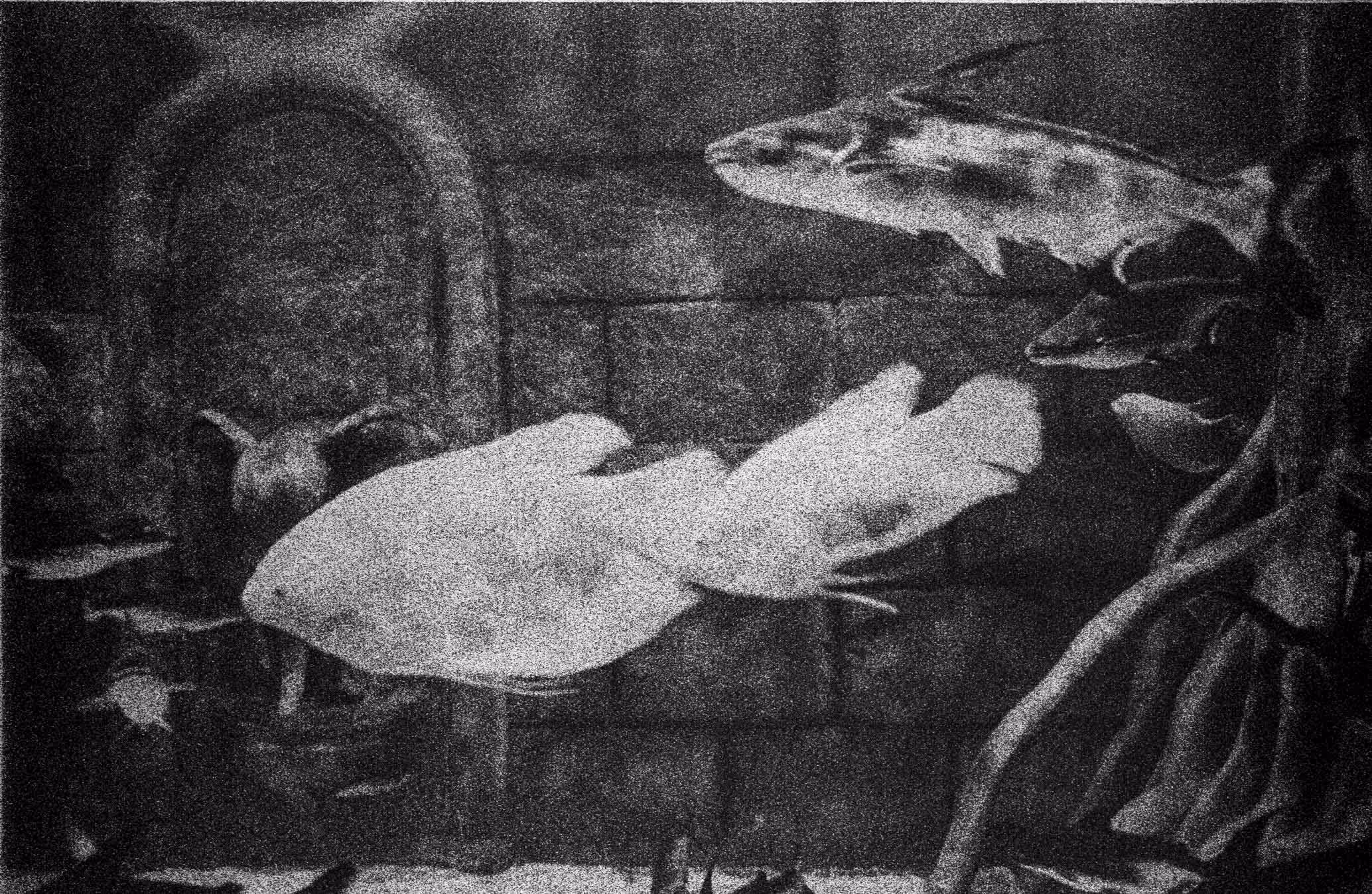 Big Fish in a Small Pound.