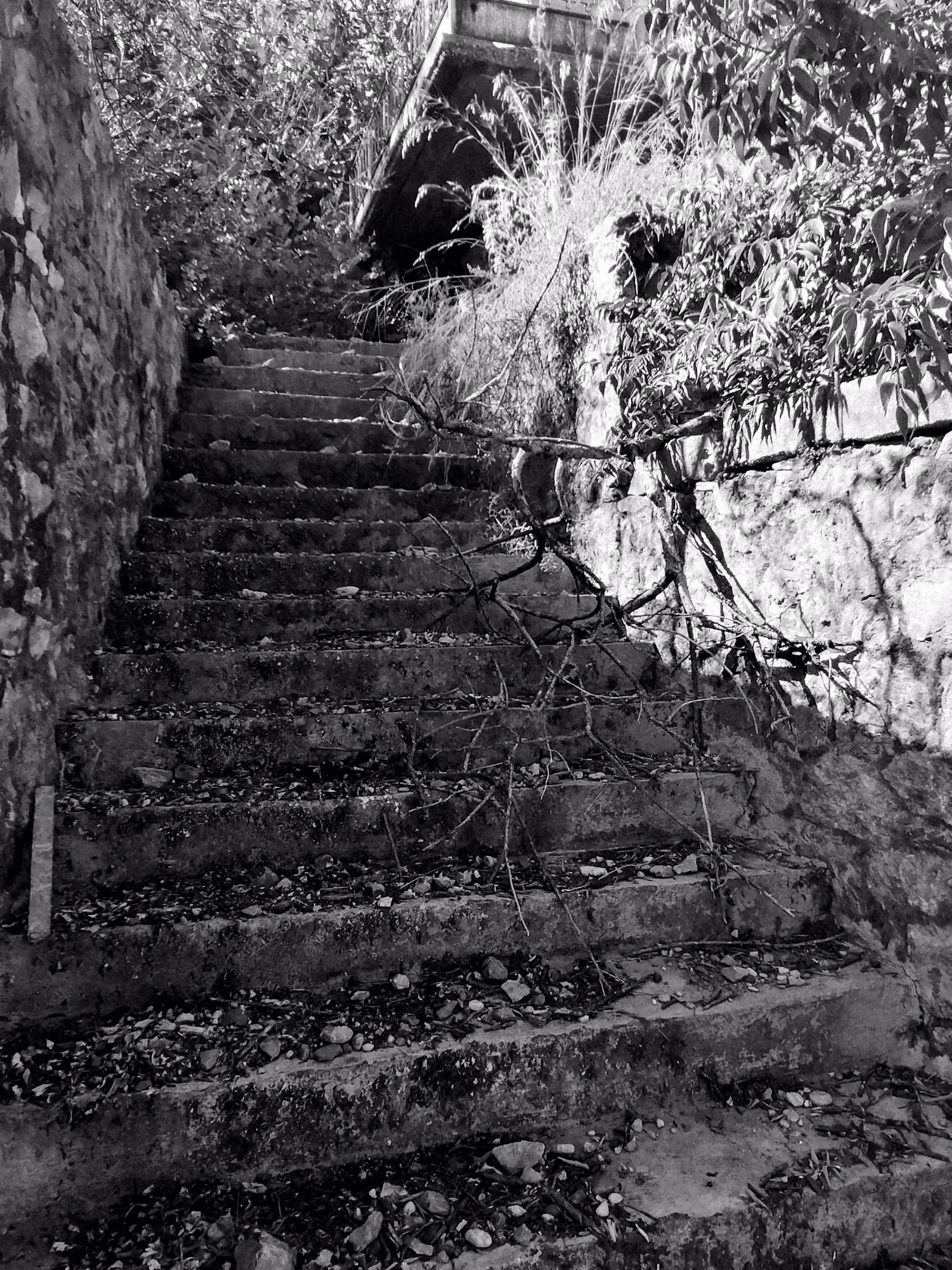 The old staircase