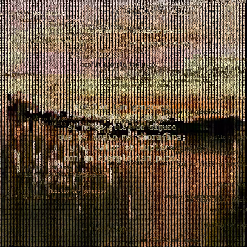 A hacker in the Pampas #80