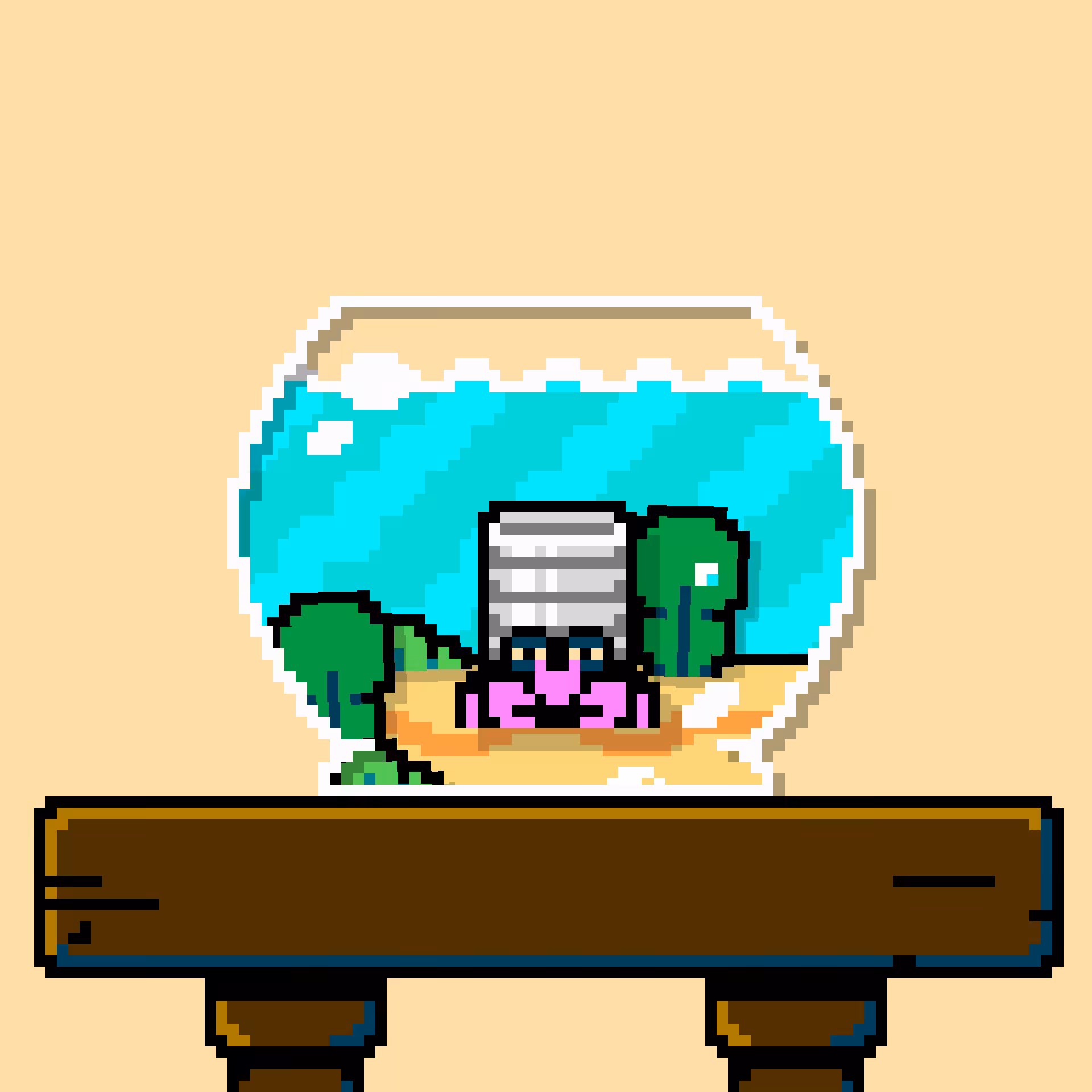 hermit crab #139