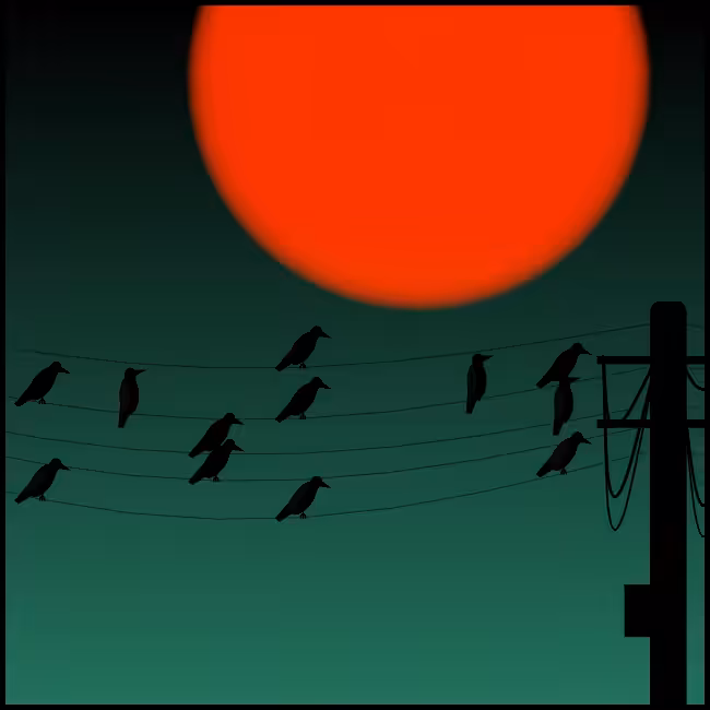 Crows #2