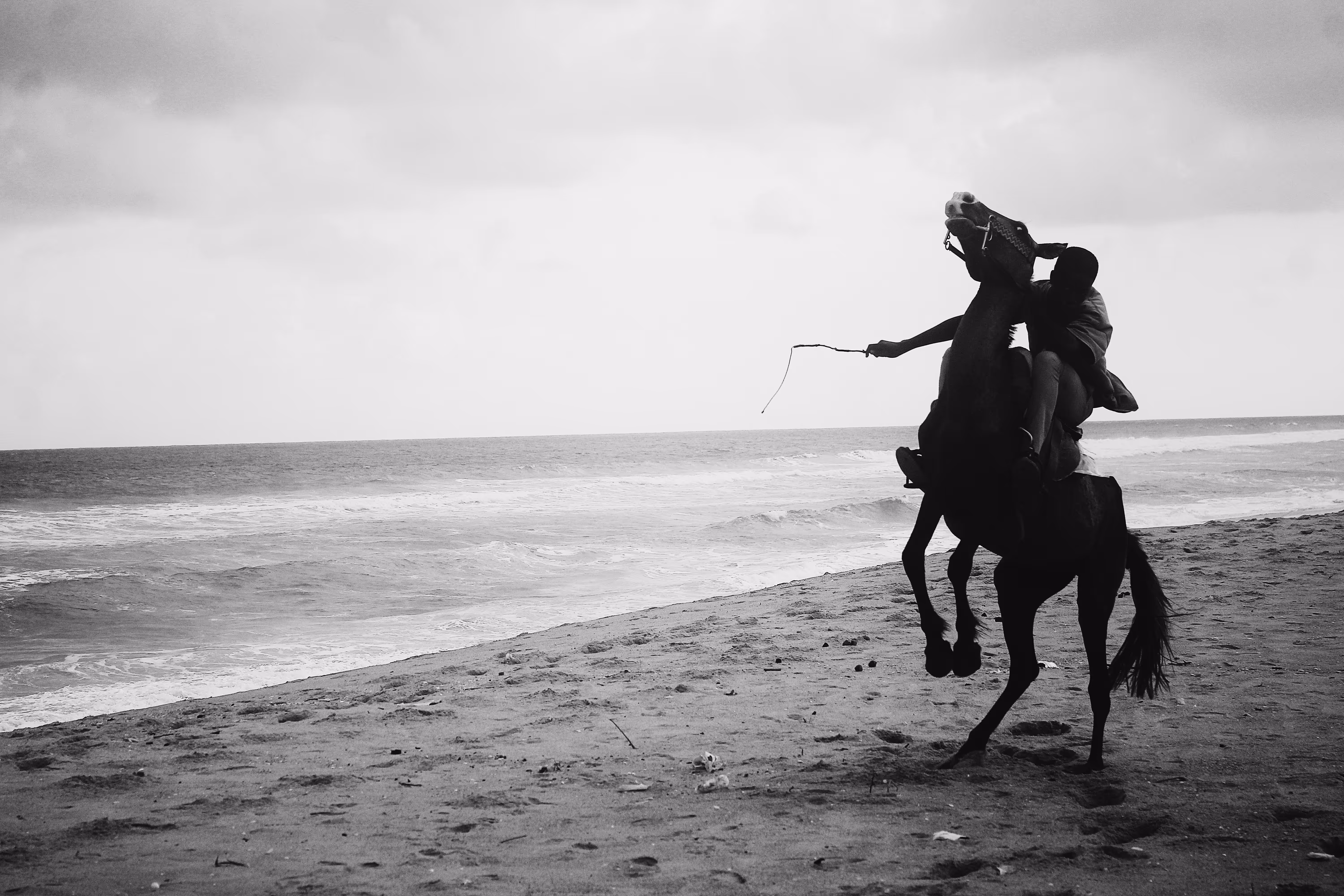 Storytelling Collection: The HorseMan!