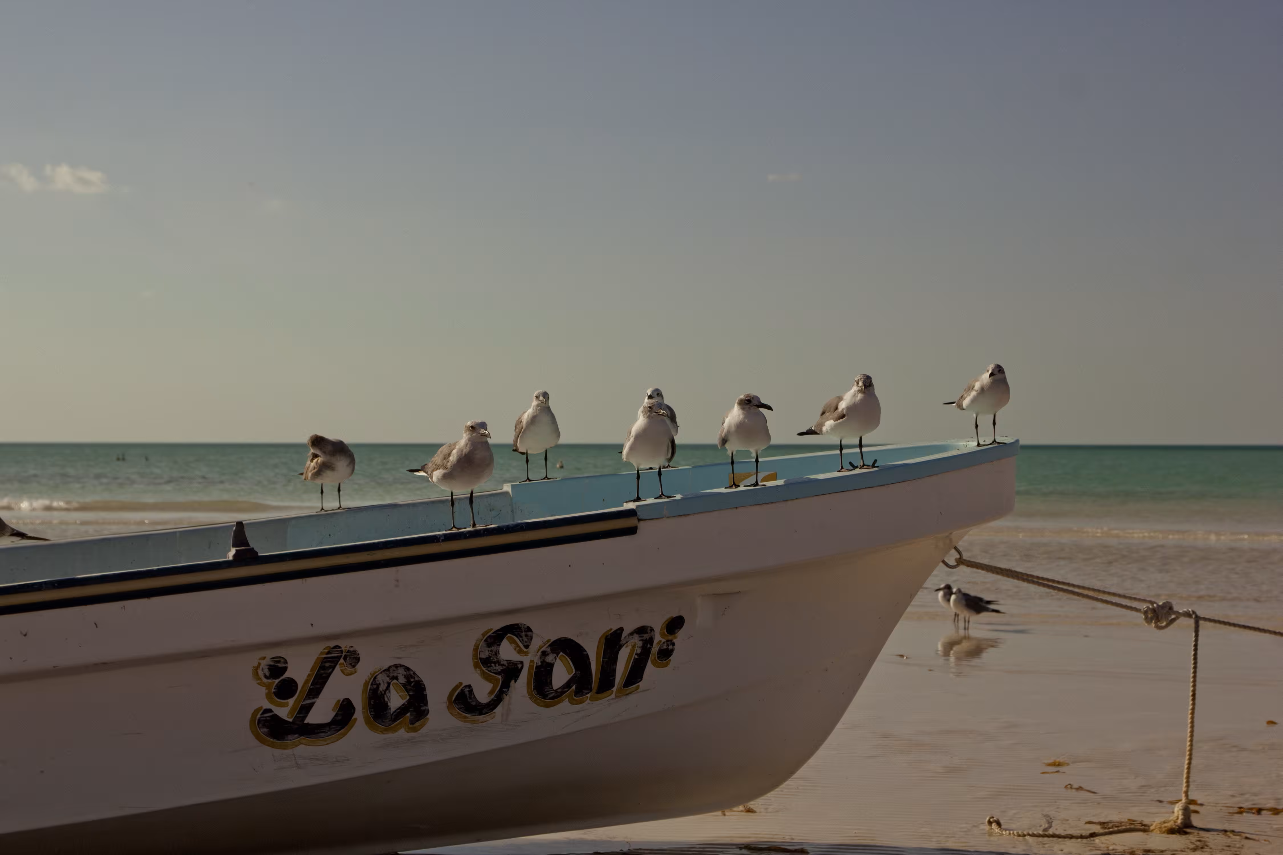 Holbox