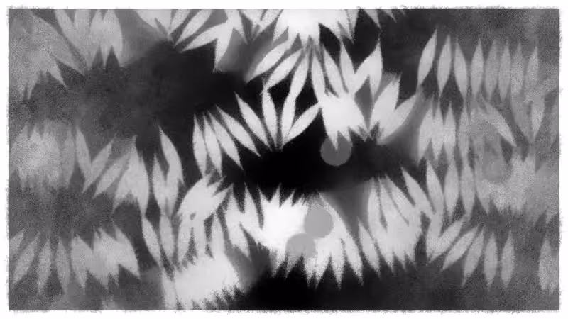 Speed of Dark