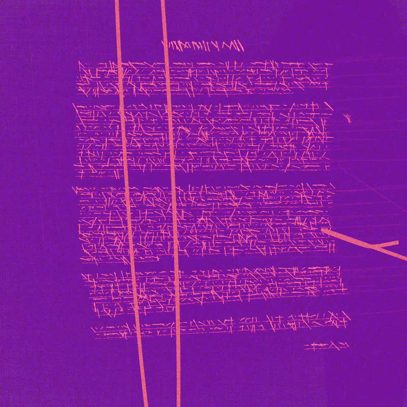 The Manuscript #31