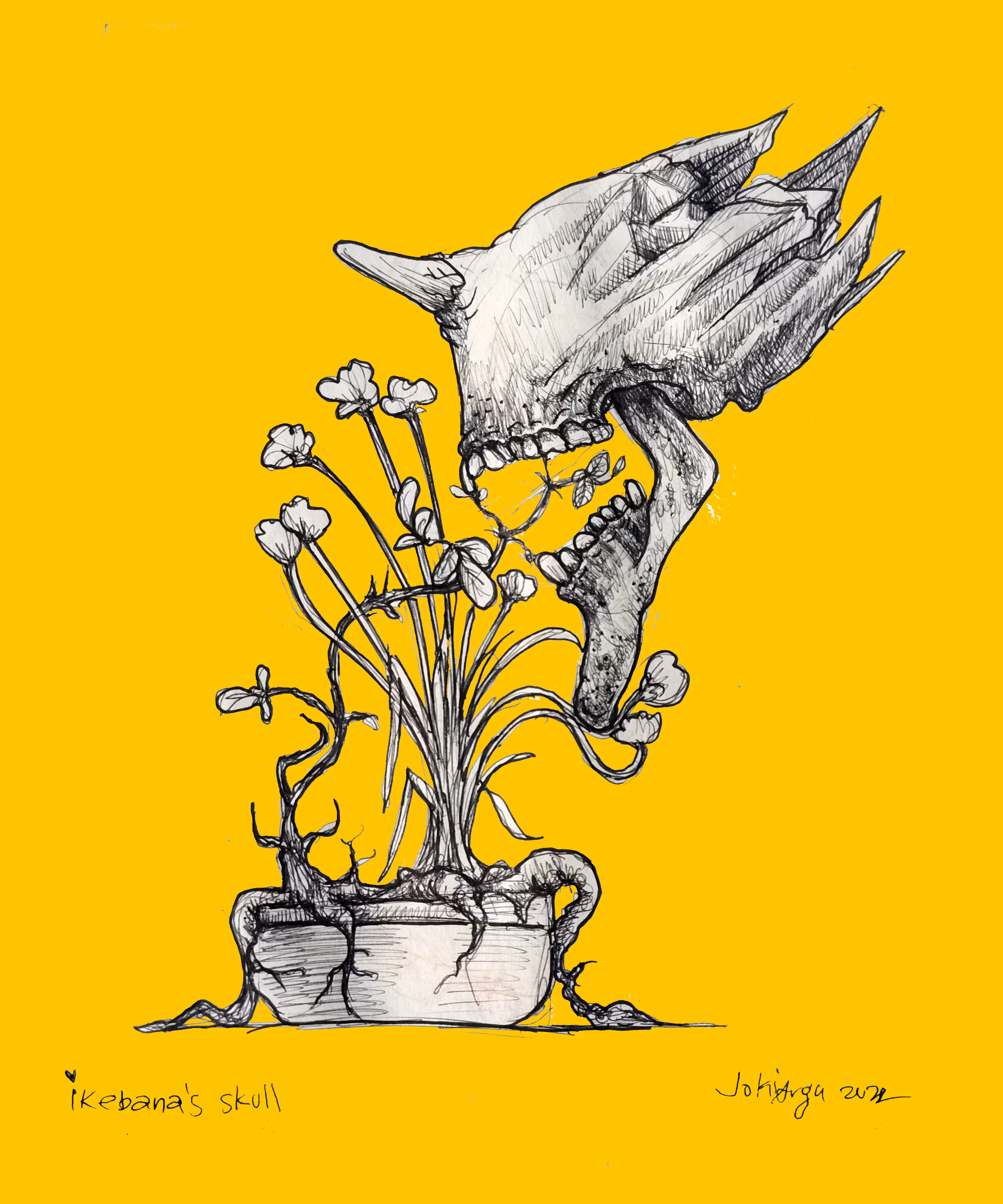 Ikebana's skull 