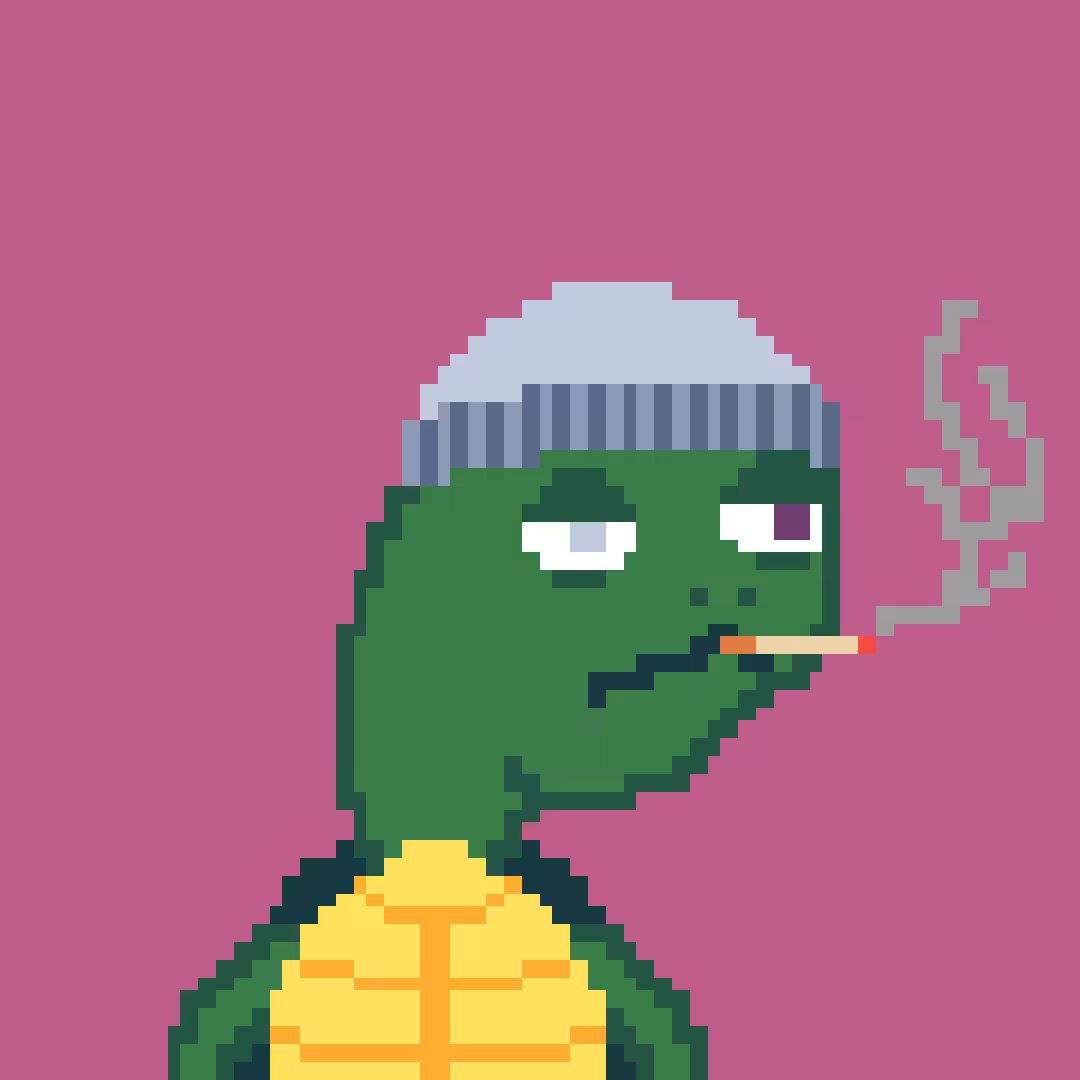 Lazy Turtle Pond #021