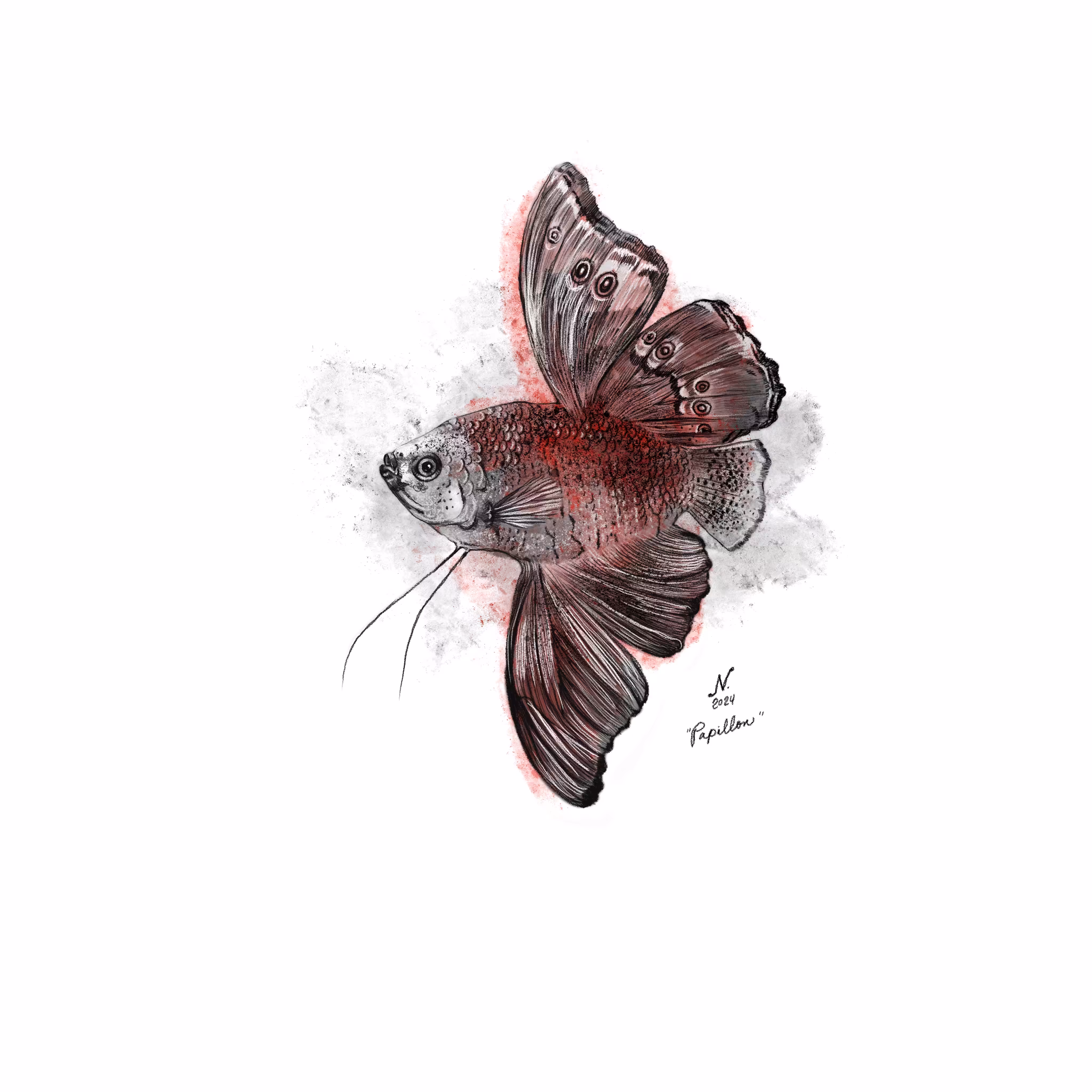 Papillon