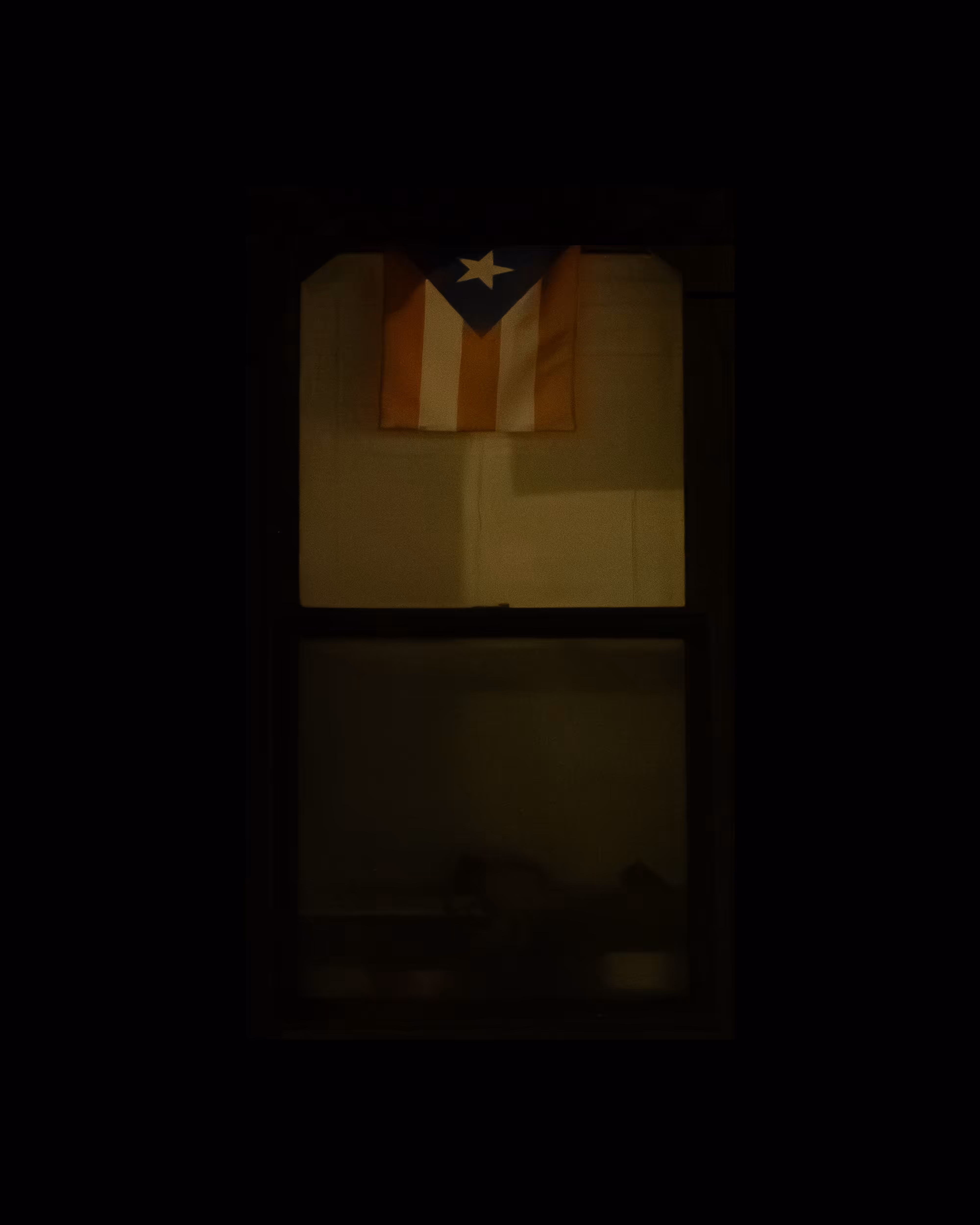 WINDOWS // NYC: WINDOW 619