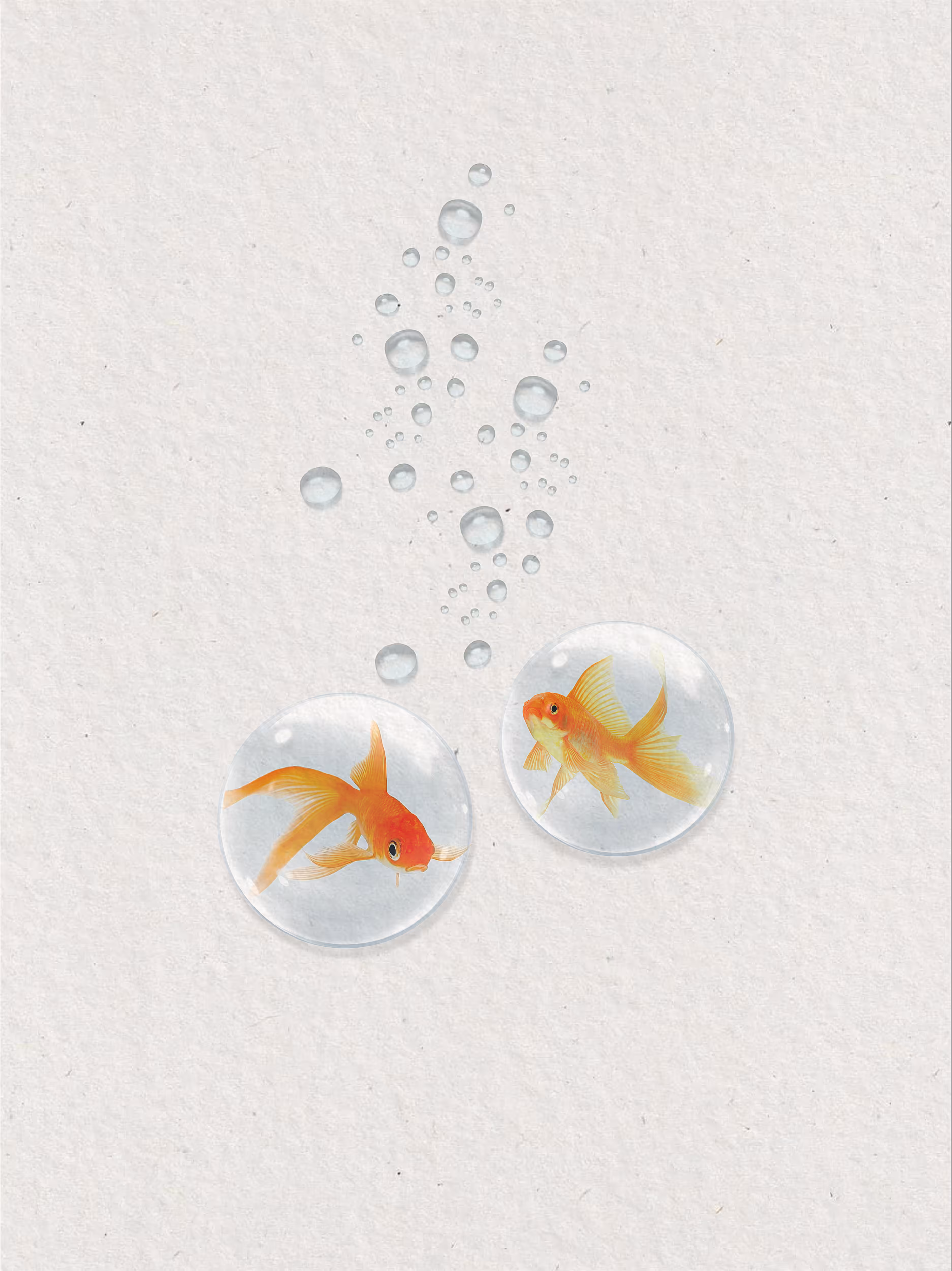 Bubbled Up