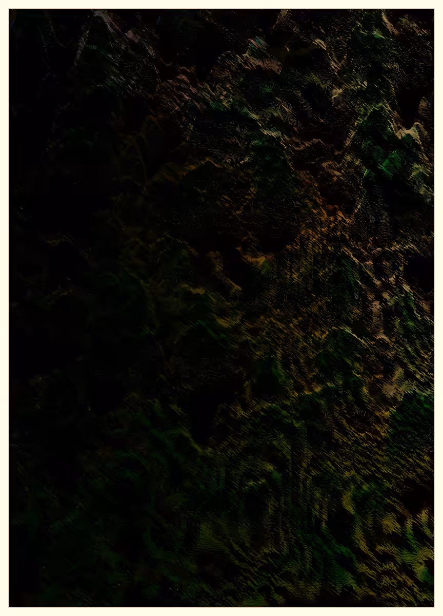 Coral Special Edition #29
