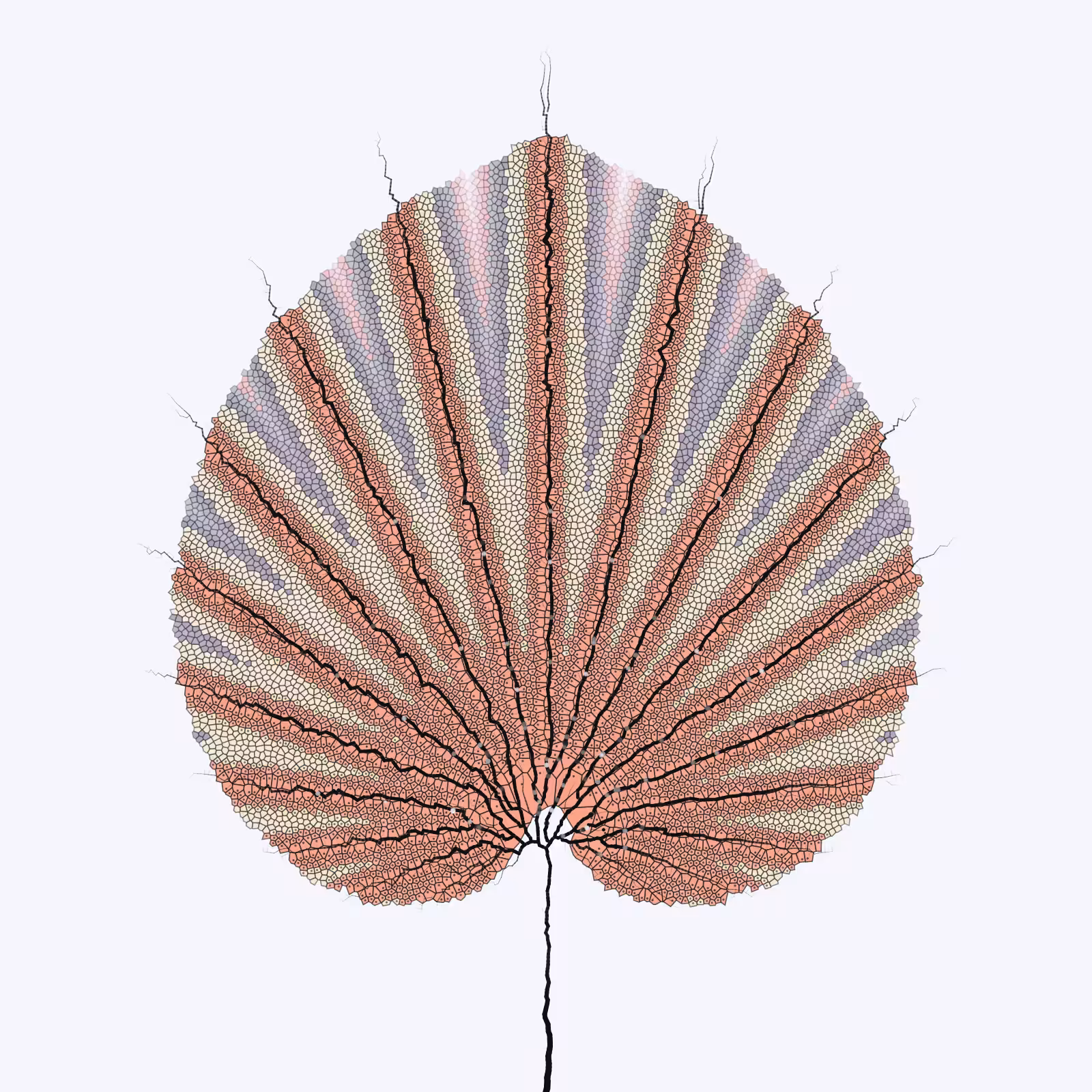 Leaf study #31