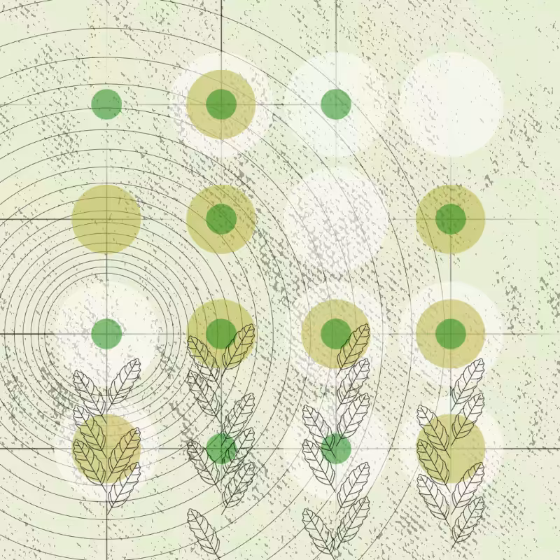 Random points of nature #9