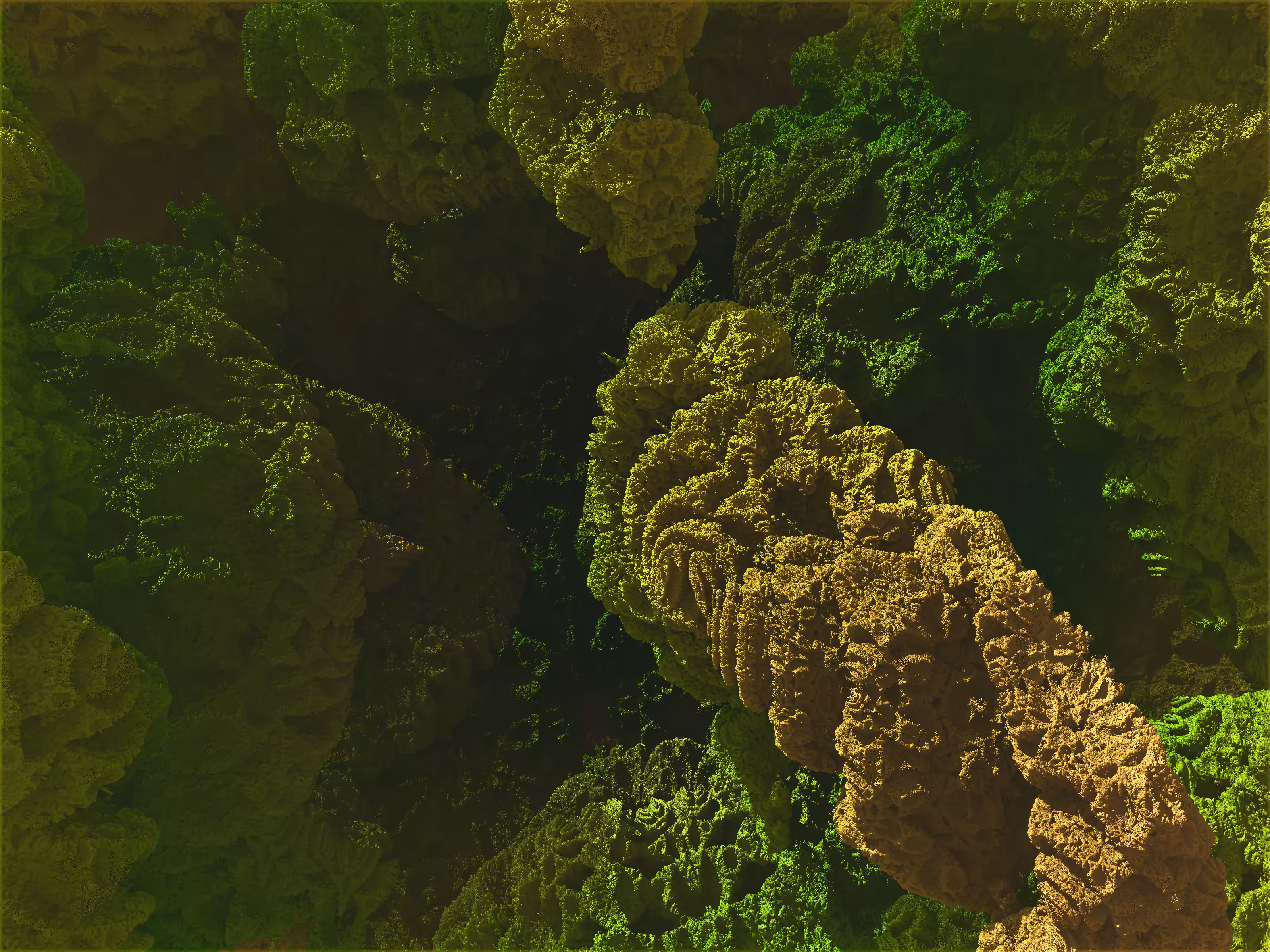 //Fractal Forest 002