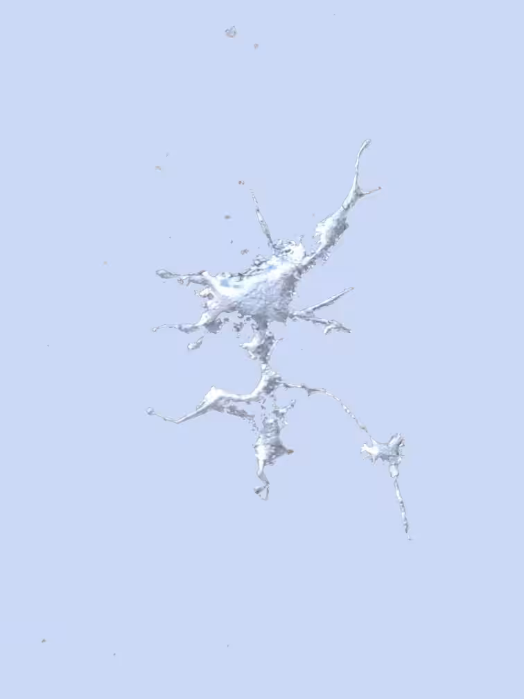 Silver splash