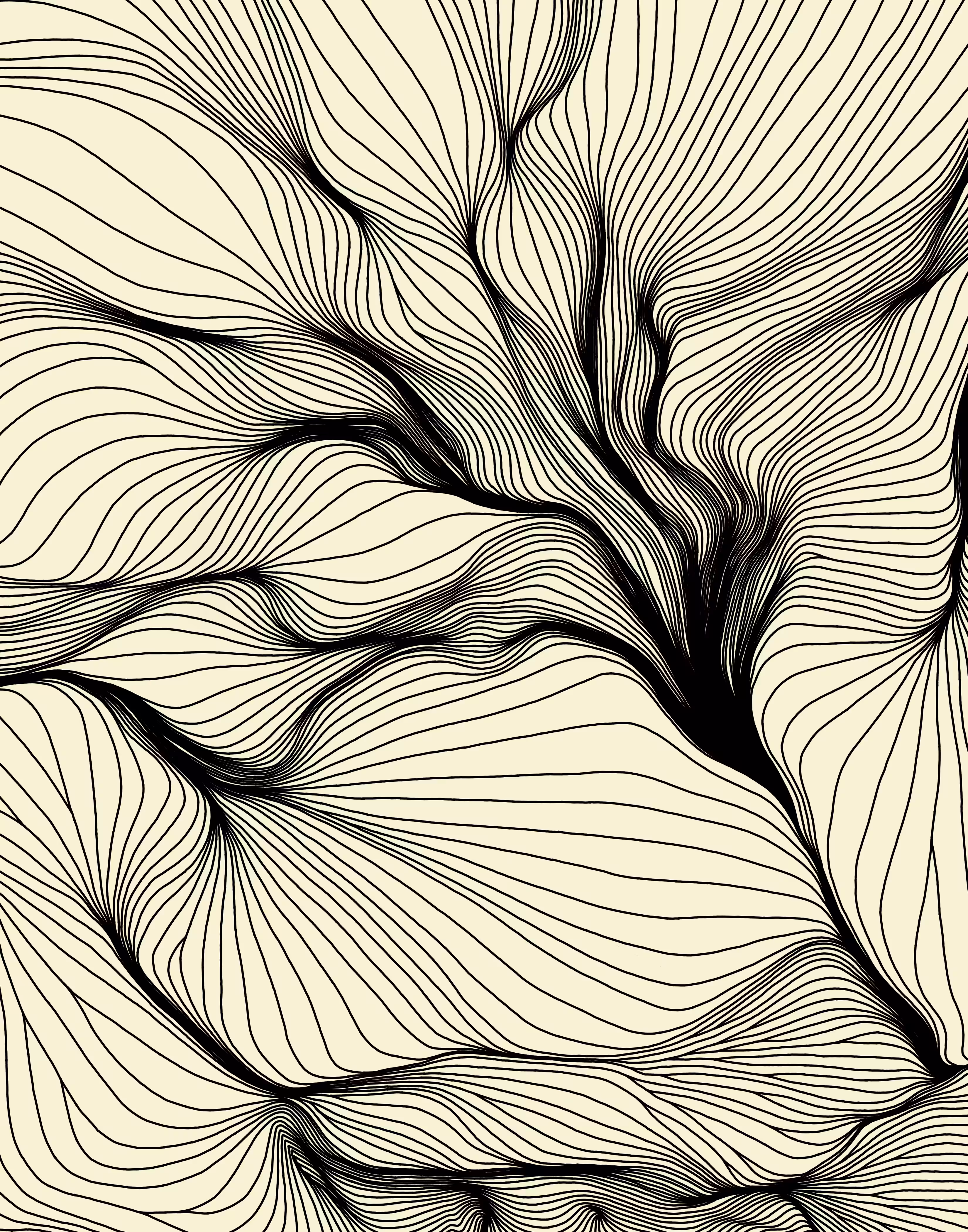sinuous tumult