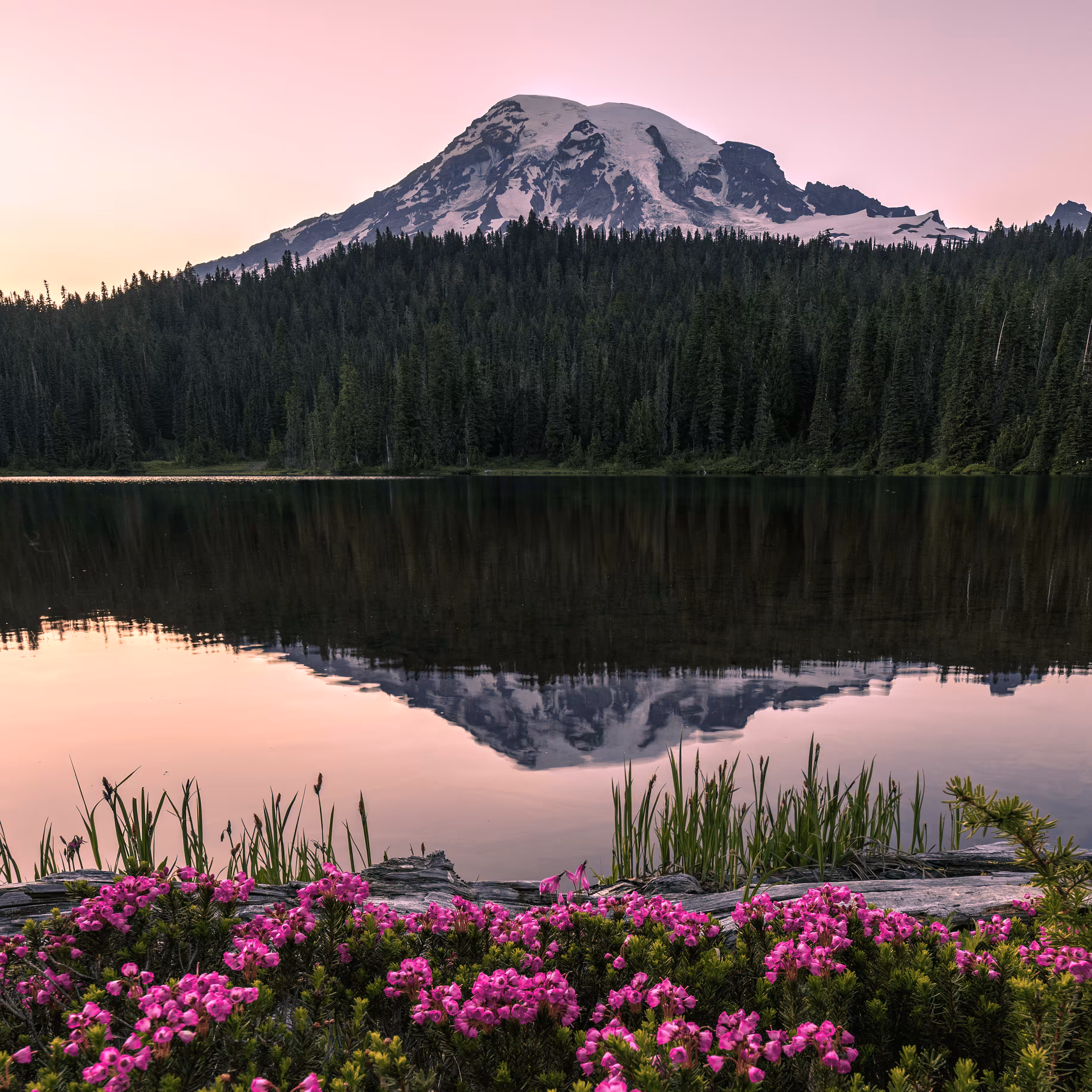 Mount Rainier #2