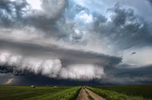 Storm of Healing