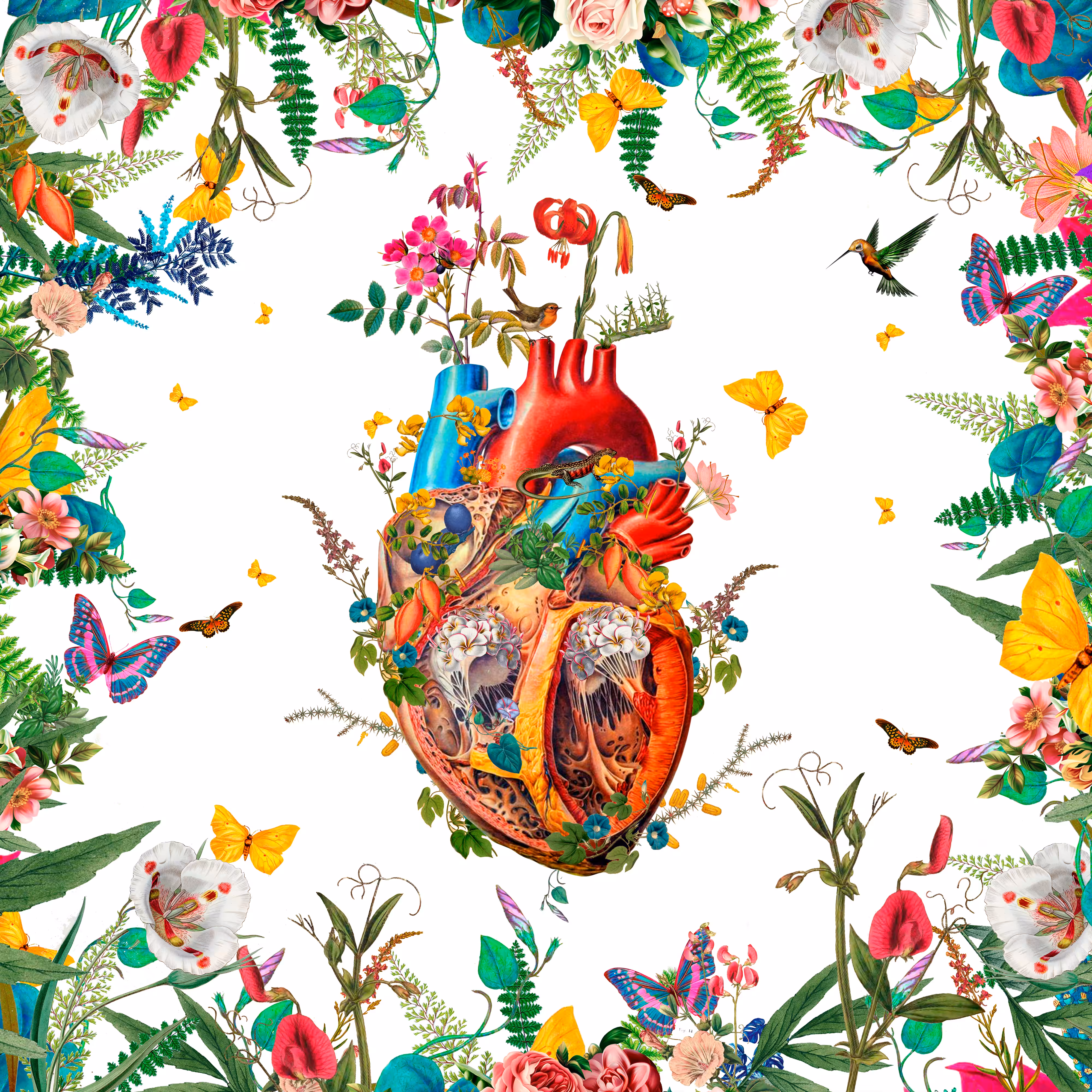 Heart Growth ll