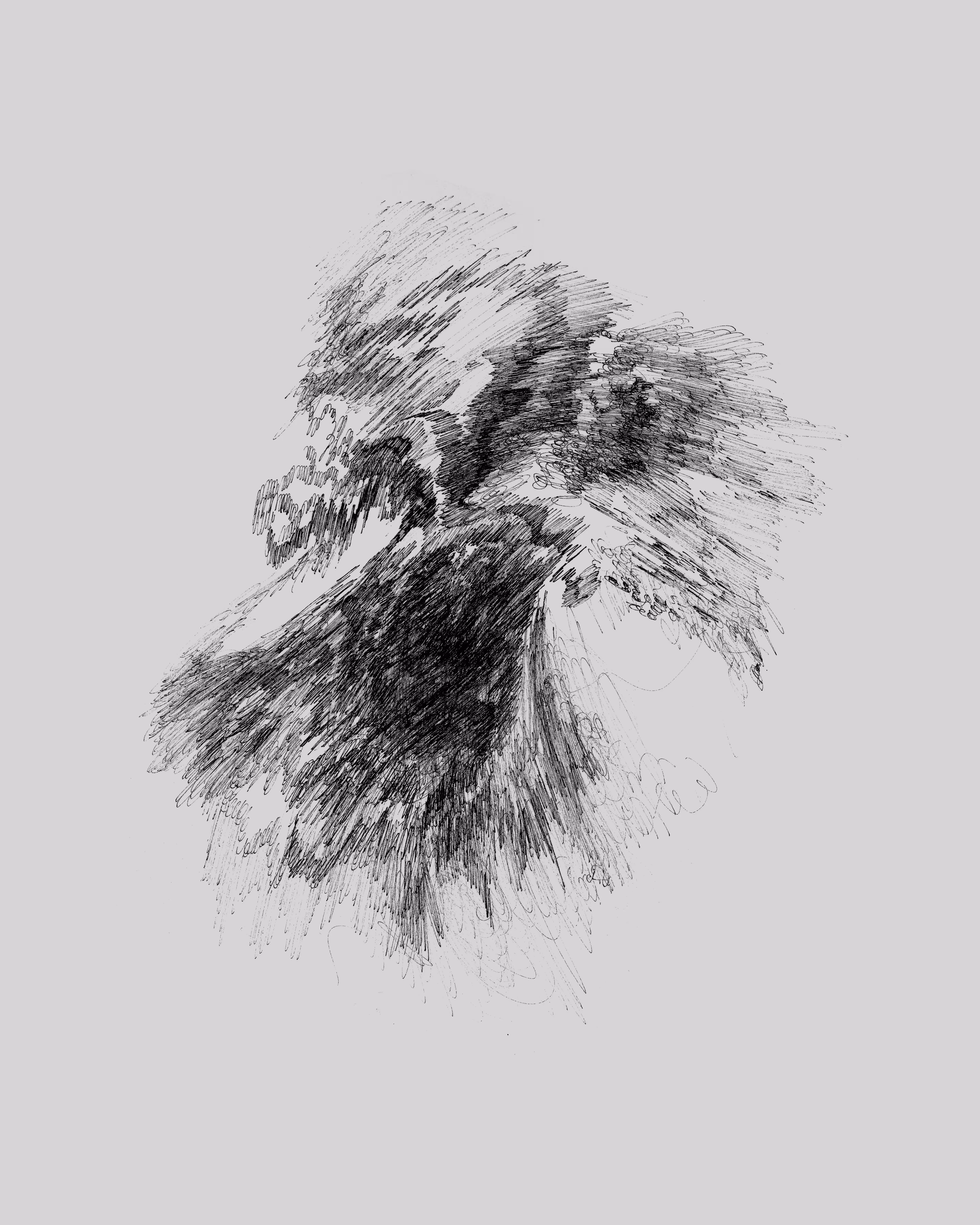 Antracital #2