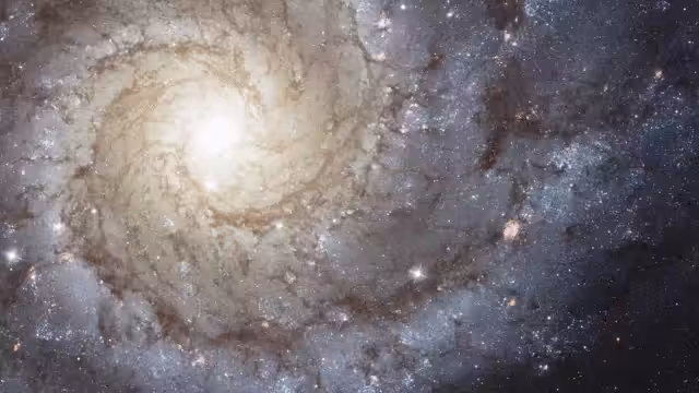 HeavenComputer: ⊳⊺≺∝∓⊰⋆⌎⟩⦶⟗⦅⋛♃ #1000462