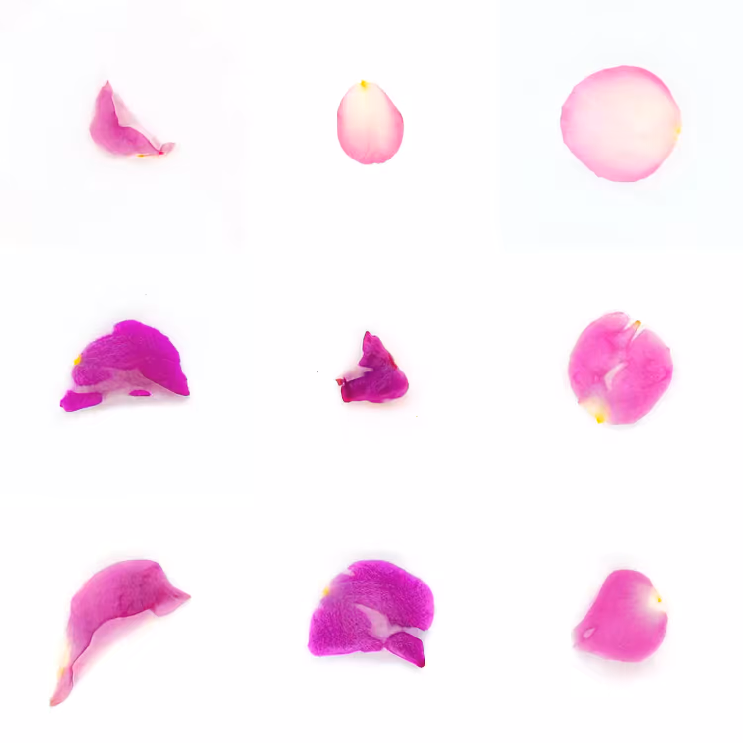 Infinite Petals 3x3#497