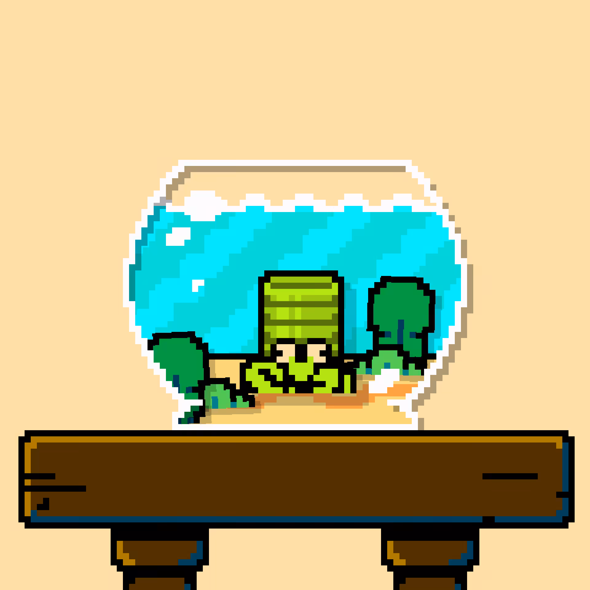 hermit crab #161