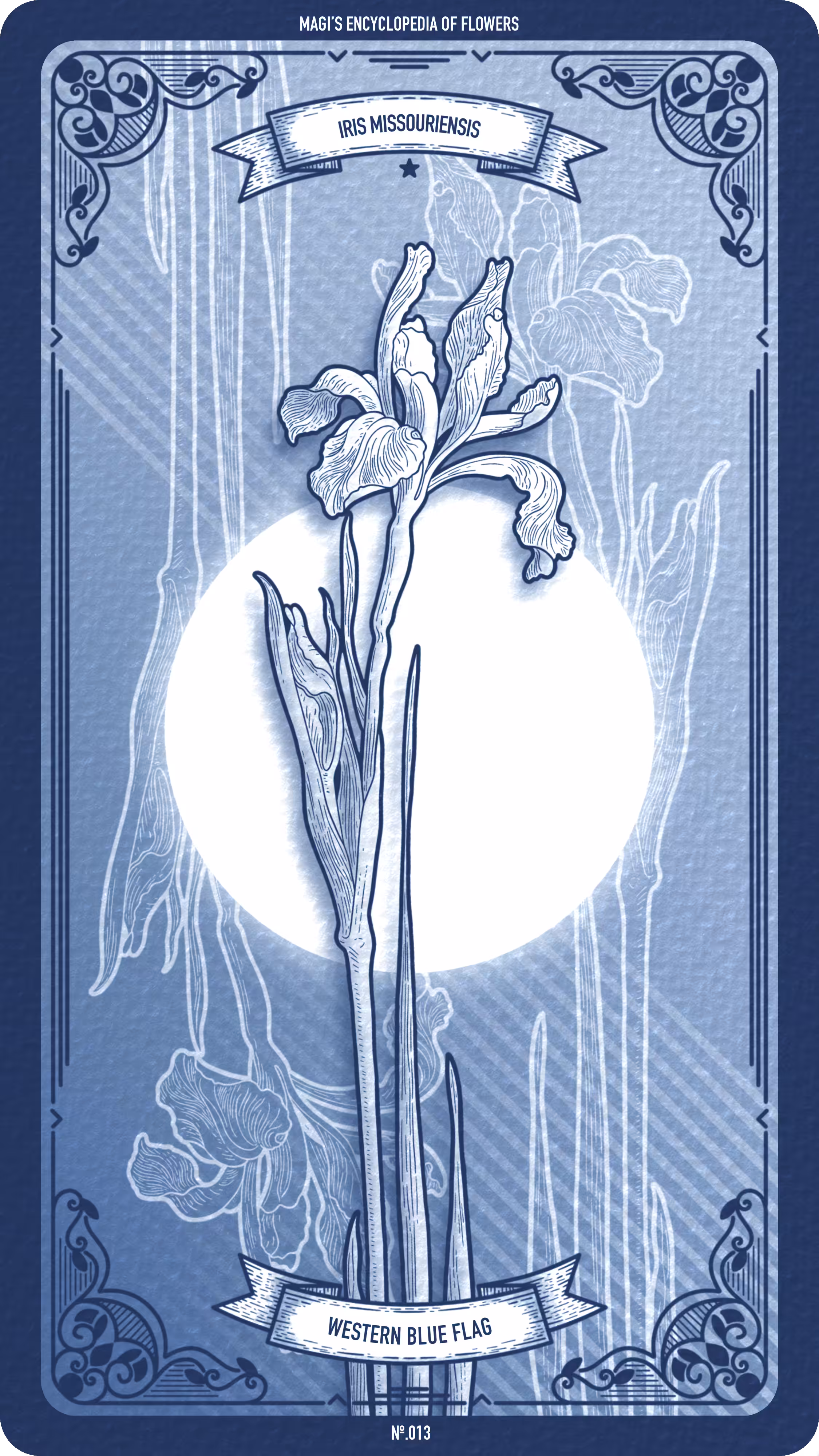 Magi's Encyclopedia of Flowers: 013 Western Blue Flag