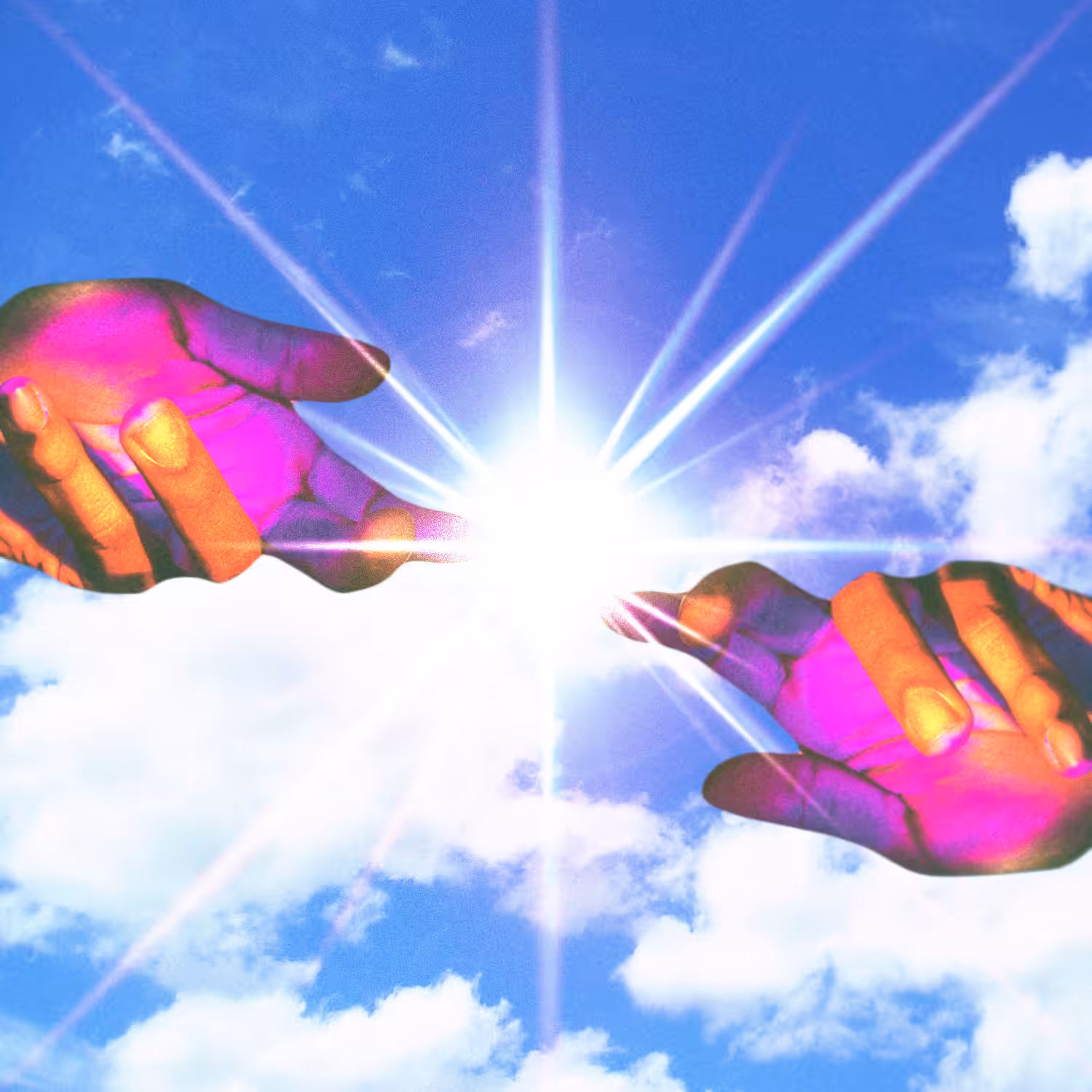 the creation