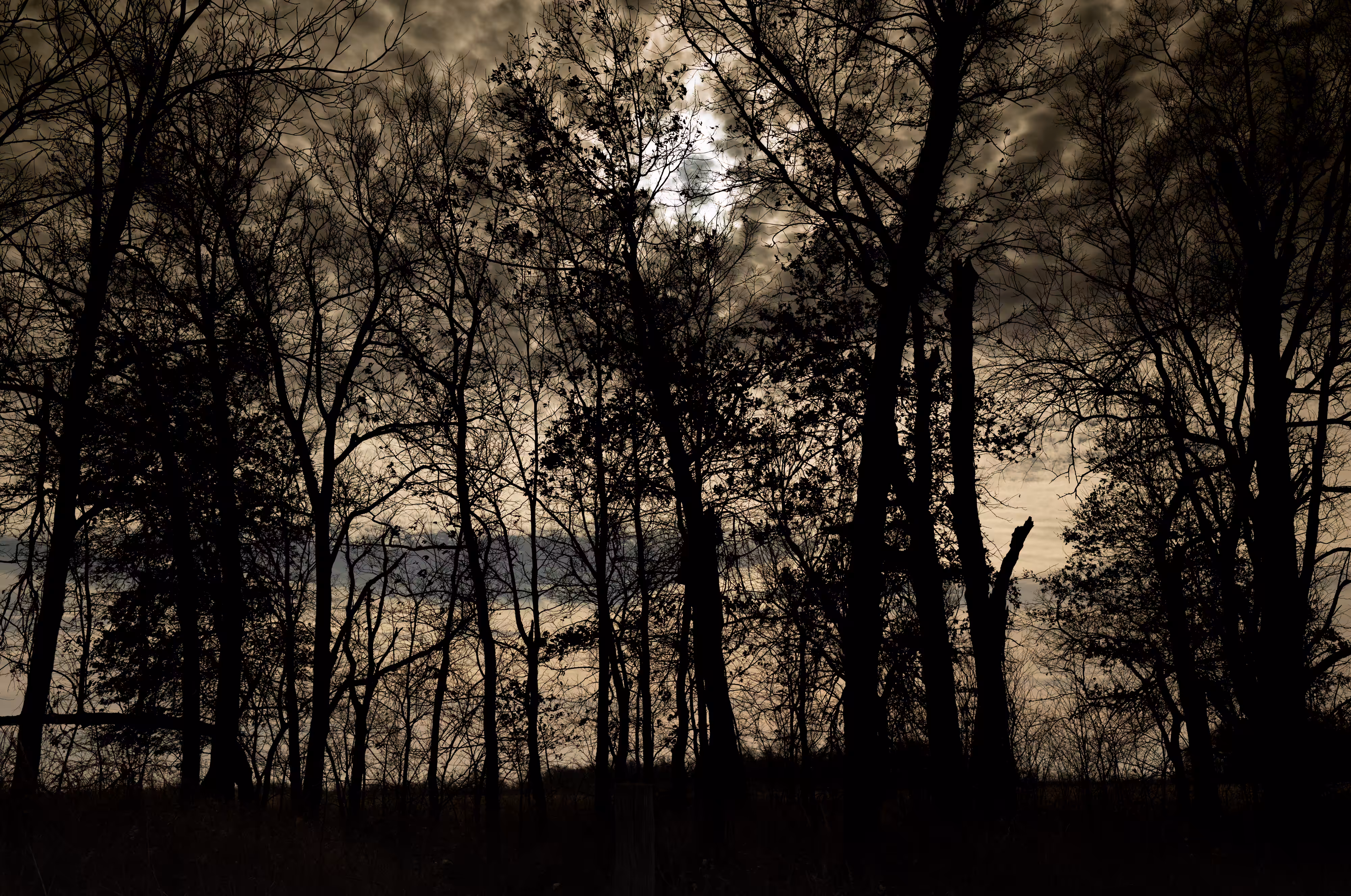 The Black Mechanism #44 (Untitled 12077-0184) by Todd Hido