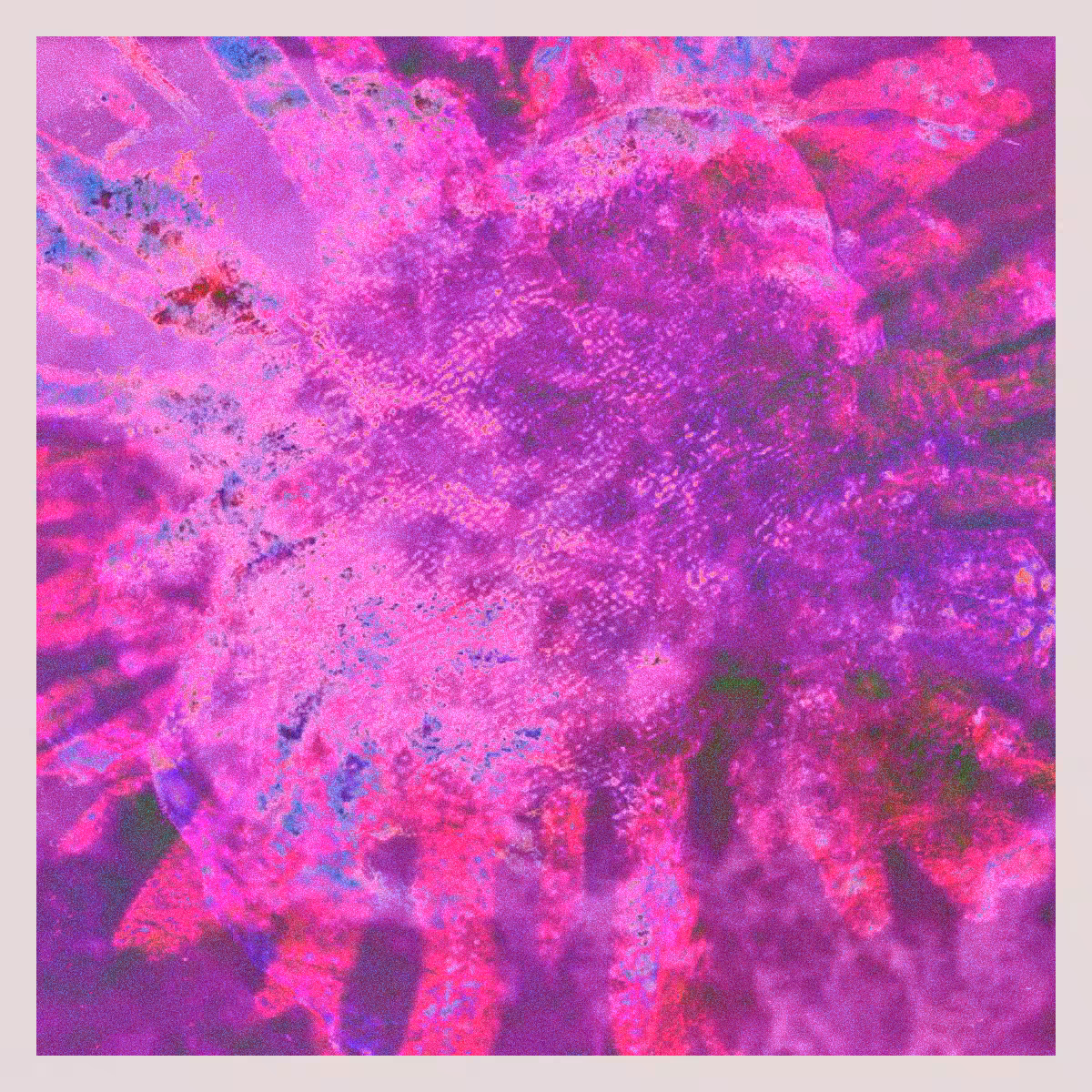 orGANics #52