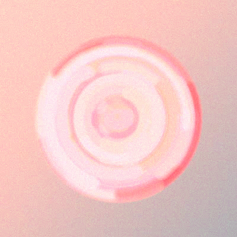 Wisp #508