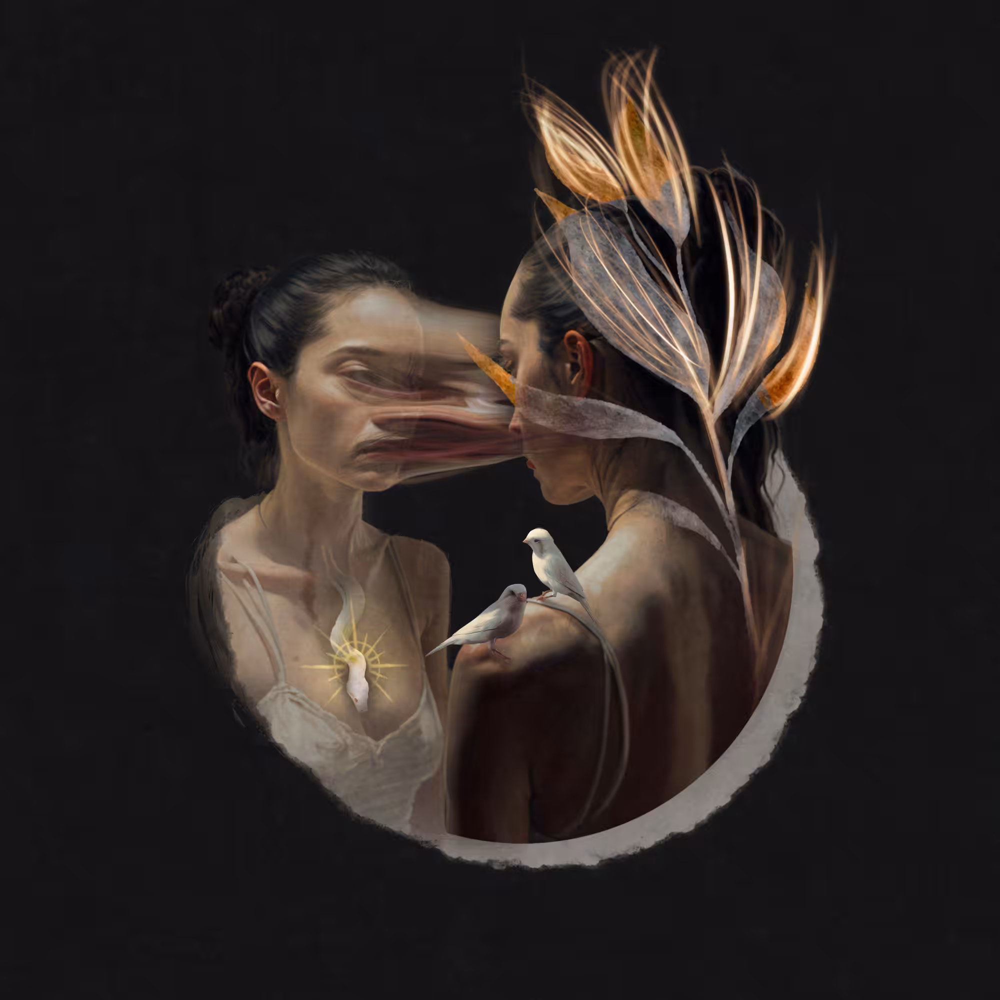 Seed & Transformation